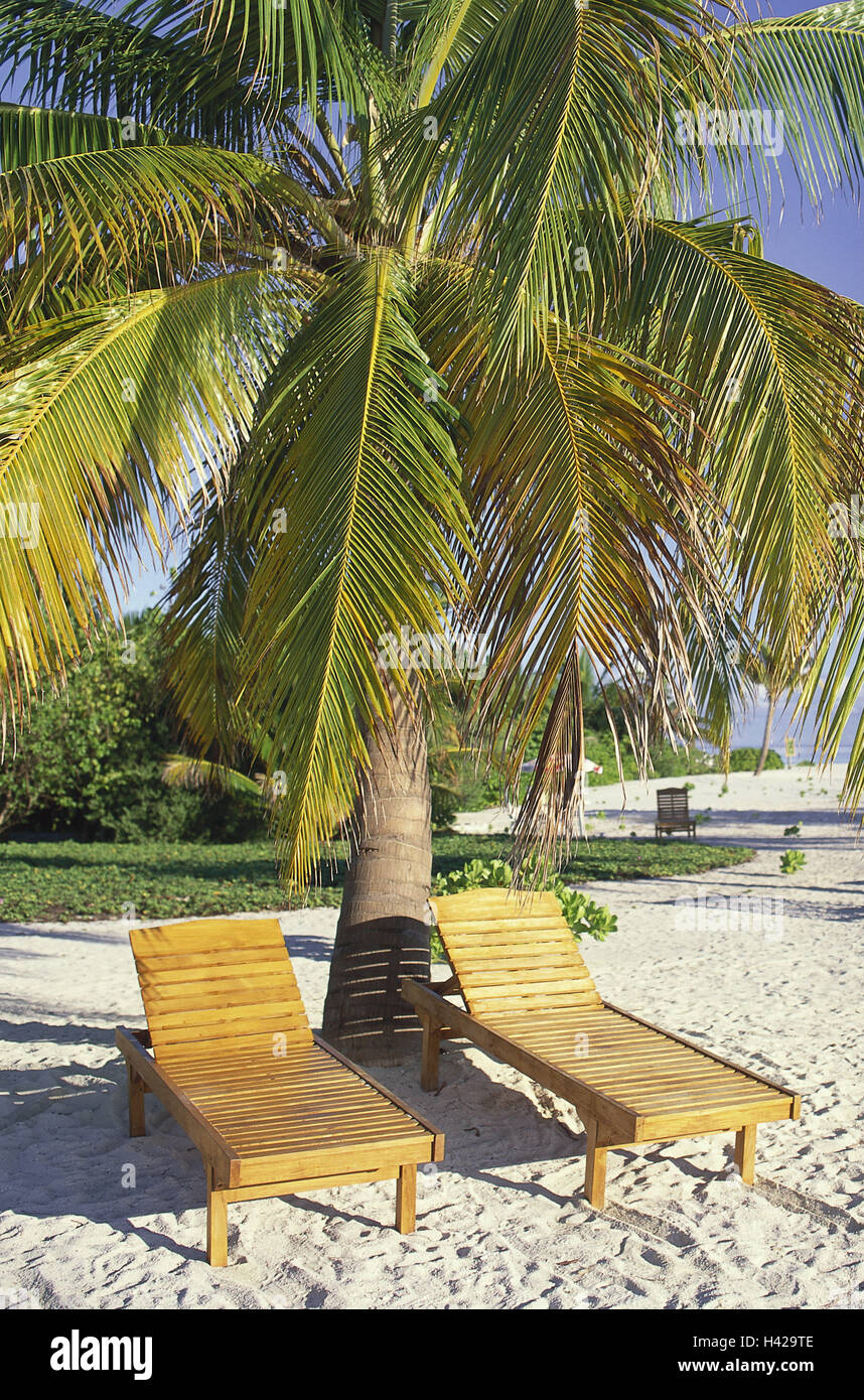 The Maldives, beach, palm, deck chairs, sand, Stock Photo
