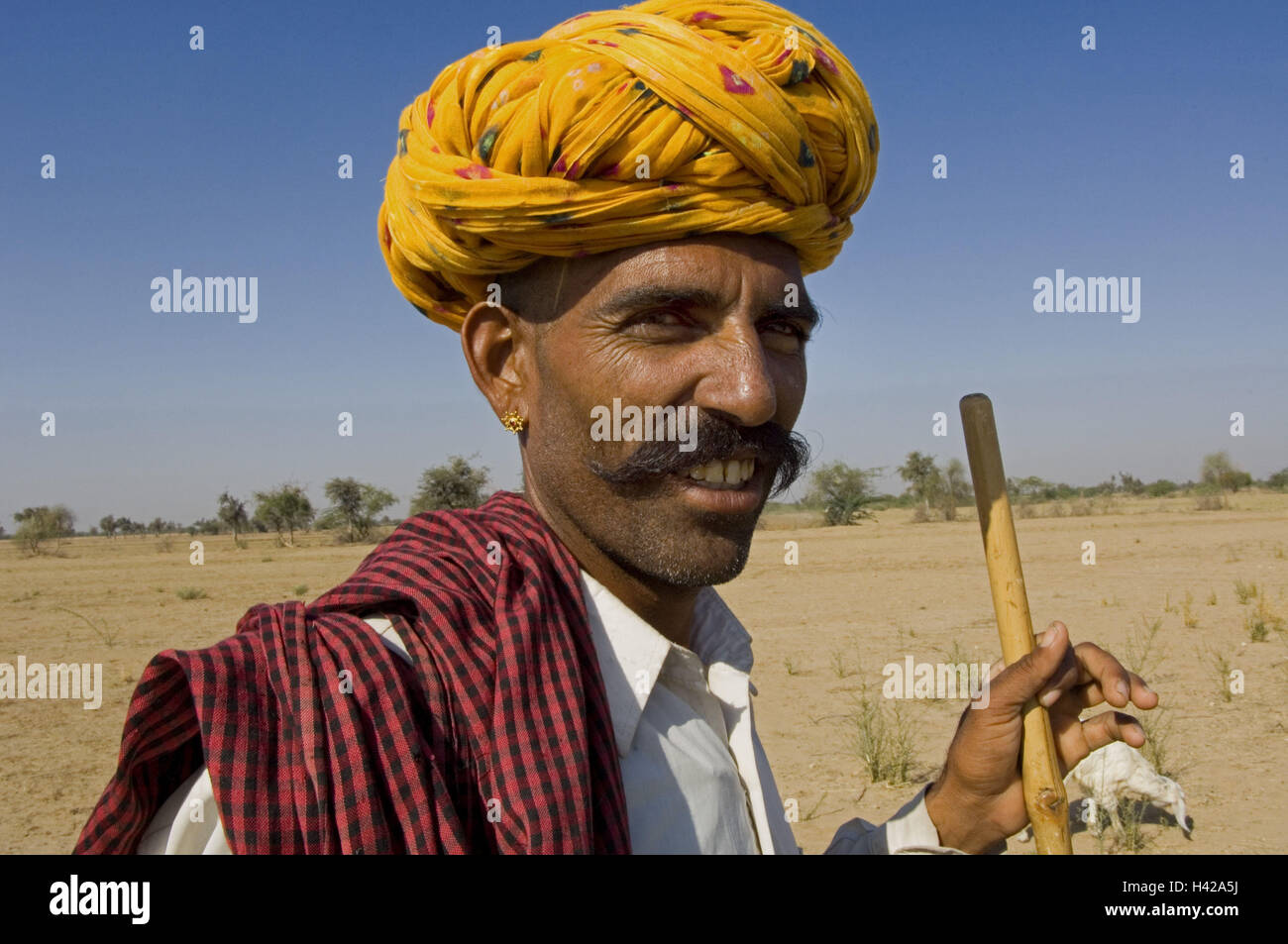 India, Rajasthan, Jodhpur, Indian, portrait, Stock Photo