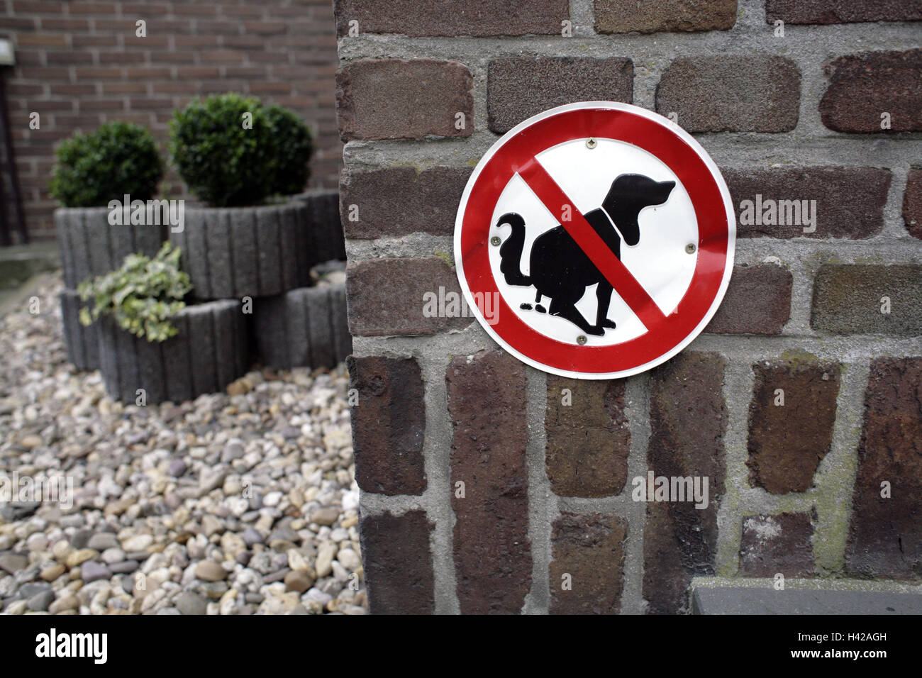 More poorly, no parking sign, 'dog excrement', sign, sign, ban, icon, dog, excrement stop, dog small heap, forbidden, unwanted, prohibits, avoidance, omitted, impurity, fouling, outside, animals, wastes Stock Photo