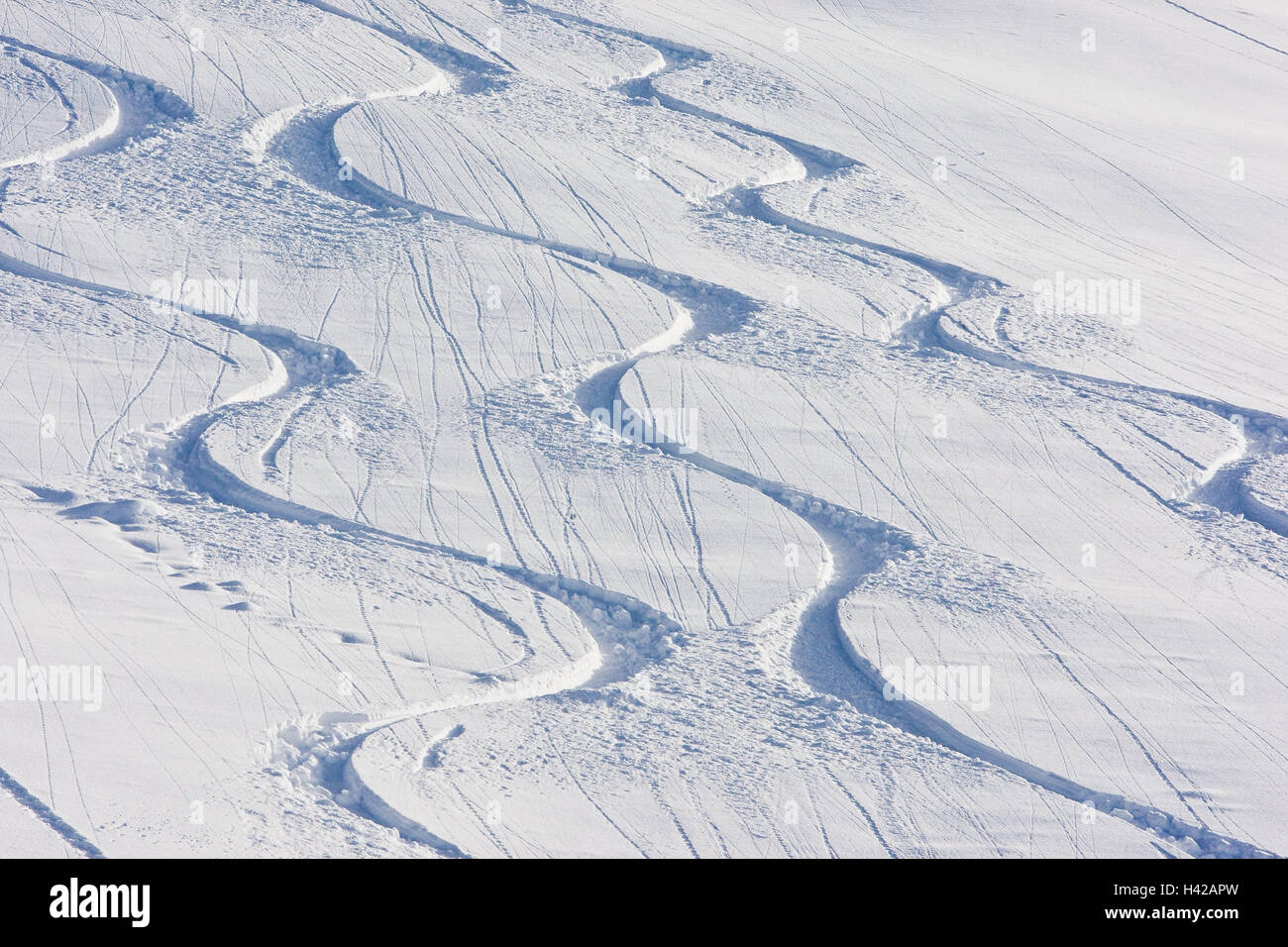 Deep snow, ski tracks, three, tracks, bends, curved, winding, curves