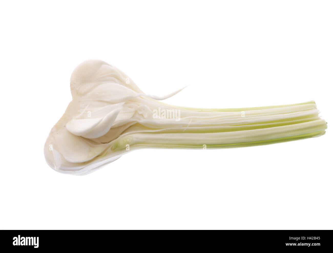 Garlic nodule, halves, Stock Photo