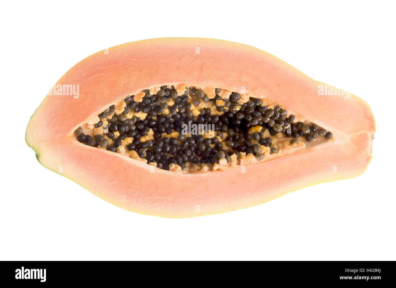 Tree Melon Carica Papaya Hi Res Stock Photography And Images Alamy Tree Melon Carica Papaya Hi Res Stock Photography And Images Alamy