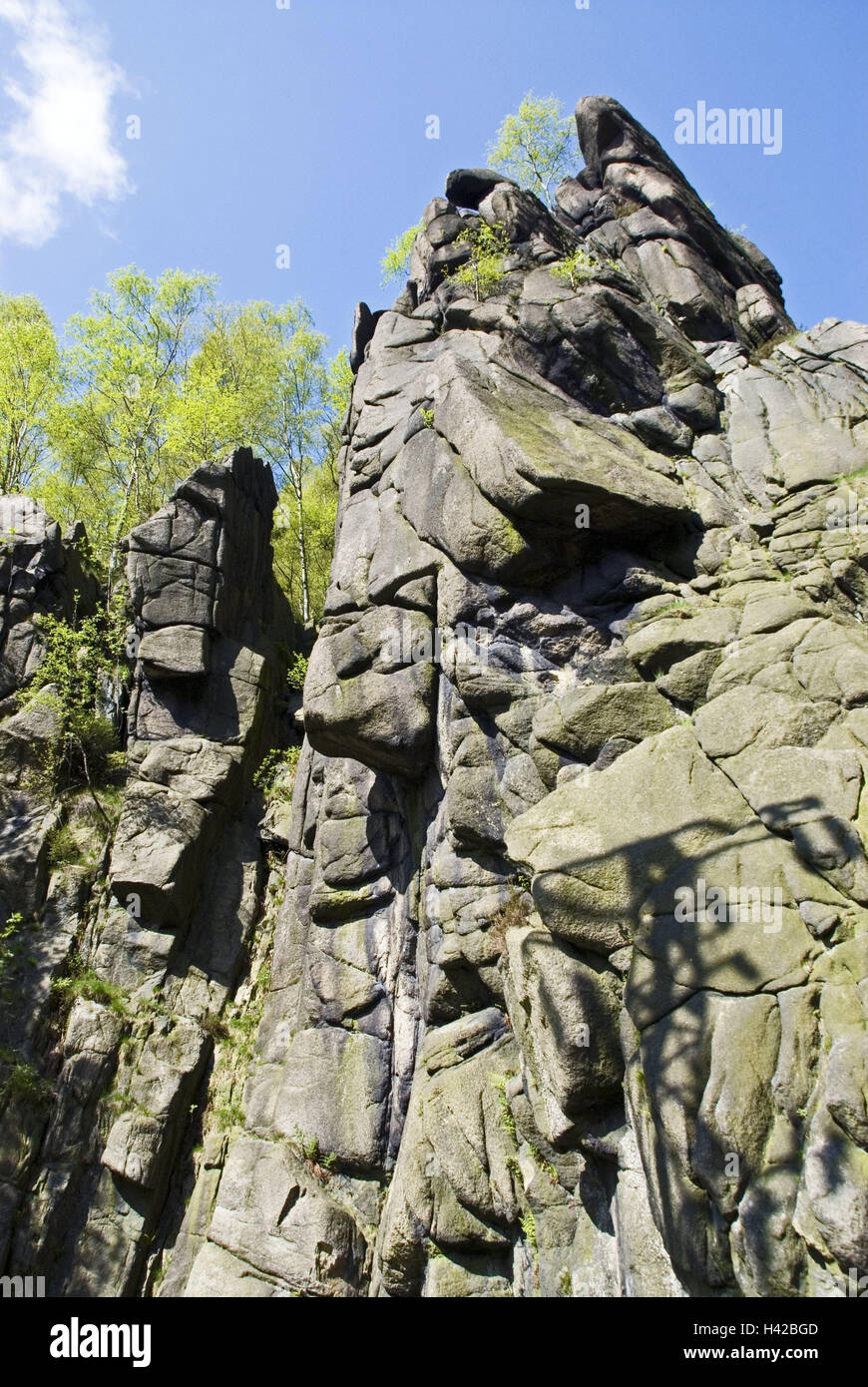 Germany, Lower Saxony, Harz, Okertal, bile formations, scenery, nature, rock, steeply, cliff face, trees, outside, deserted, Stock Photo