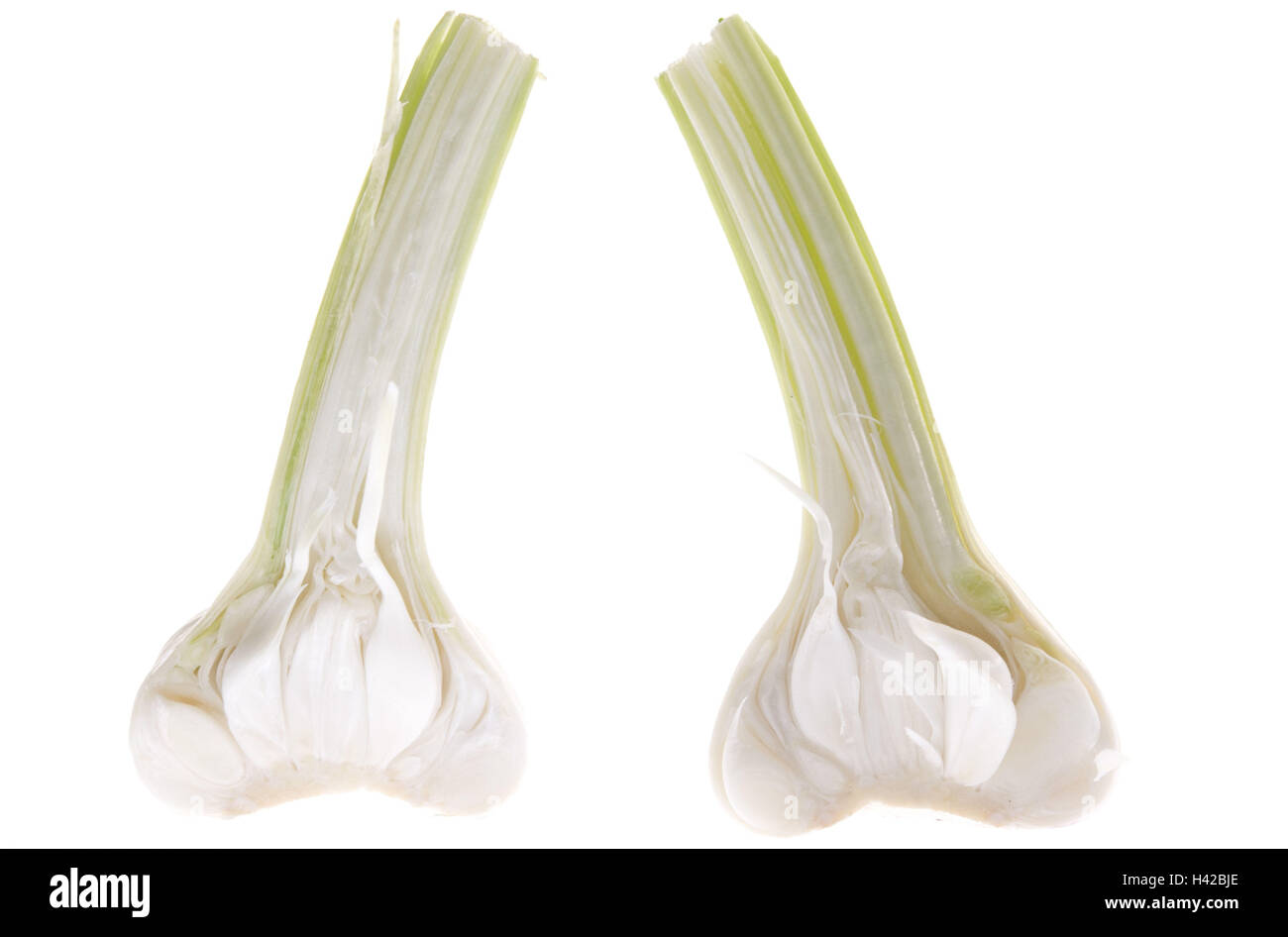 Garlic nodules, halves, Stock Photo