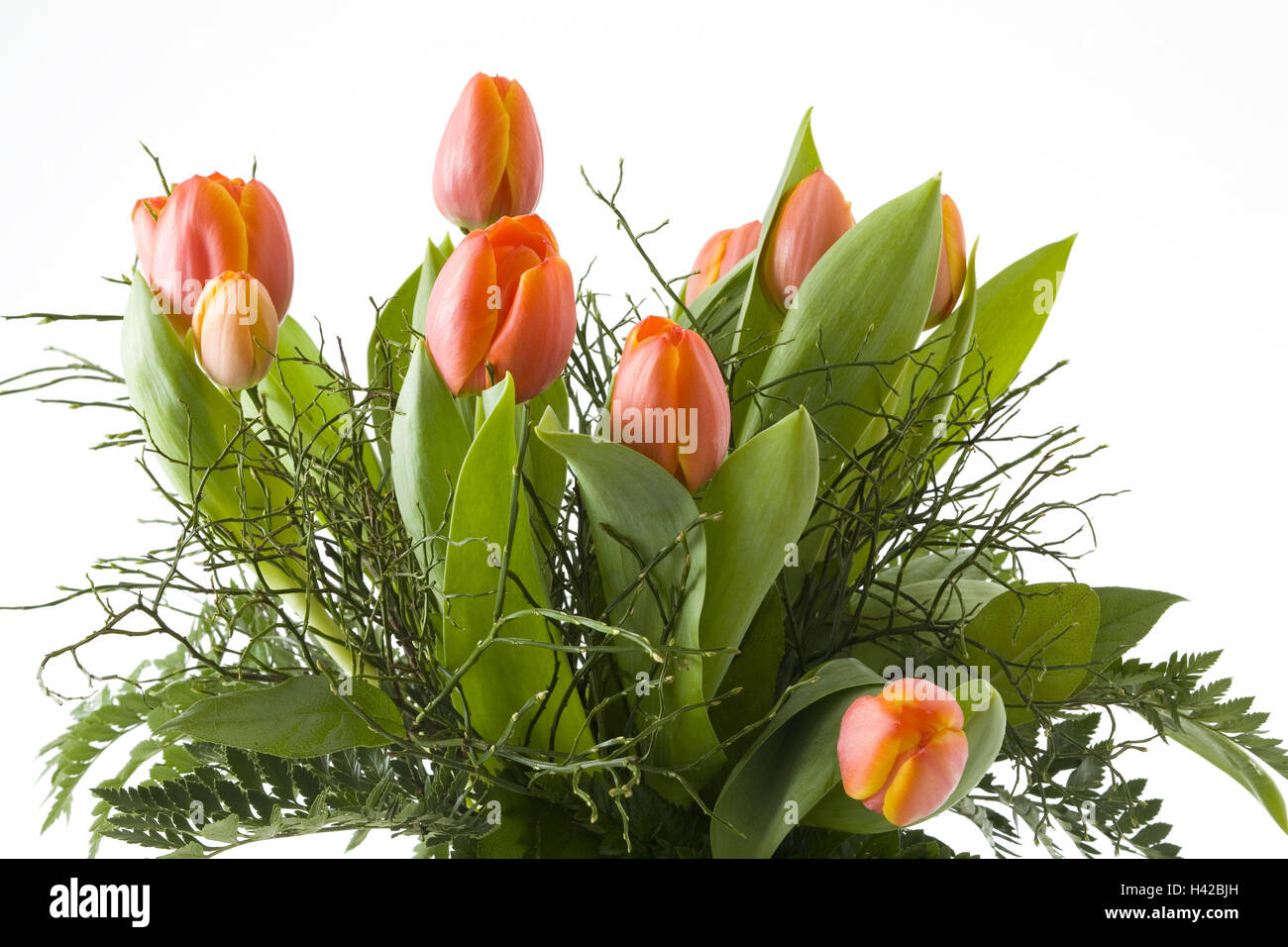 Tulip bunch, Stock Photo