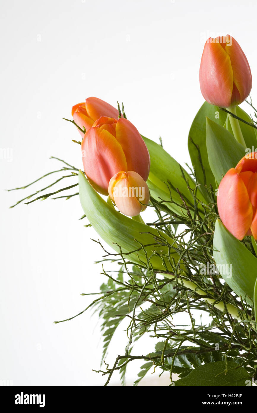 Tulip bunch, detail, Stock Photo