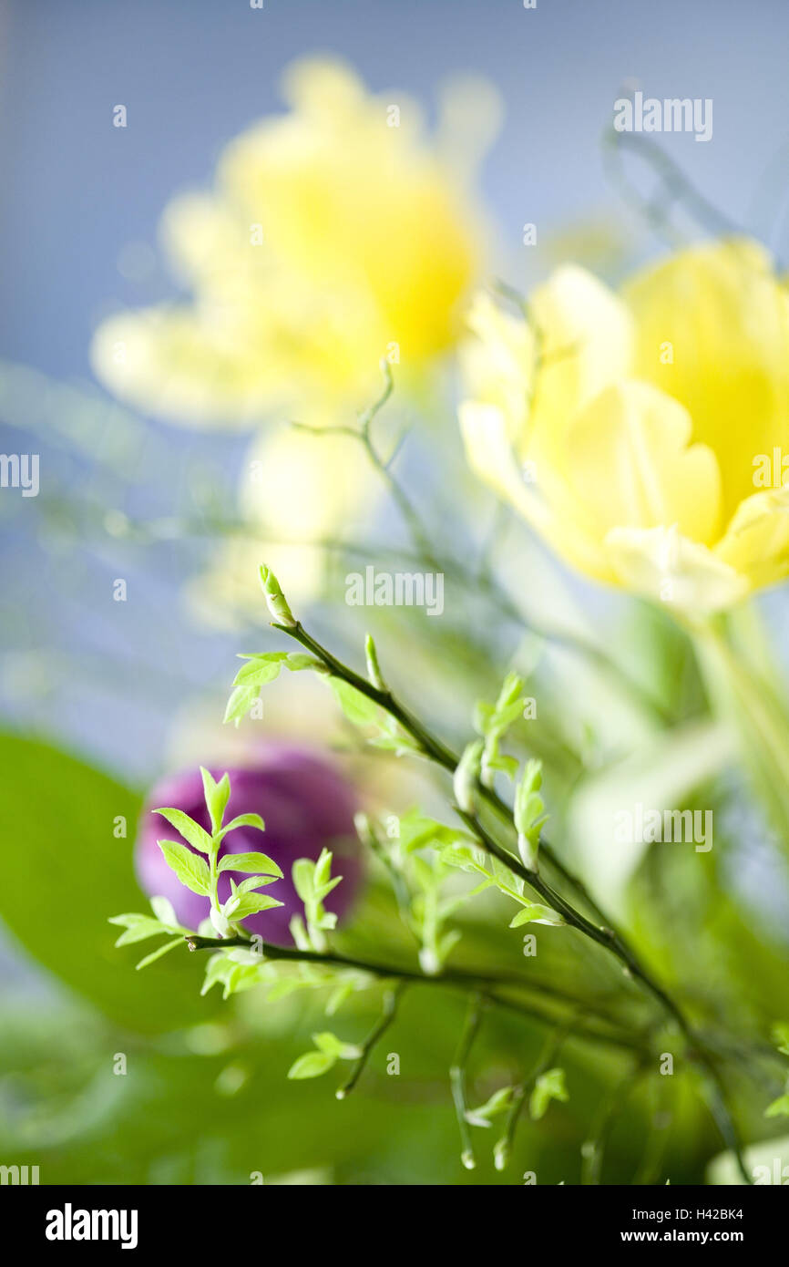 Tulip bunch, close up, blur, Stock Photo