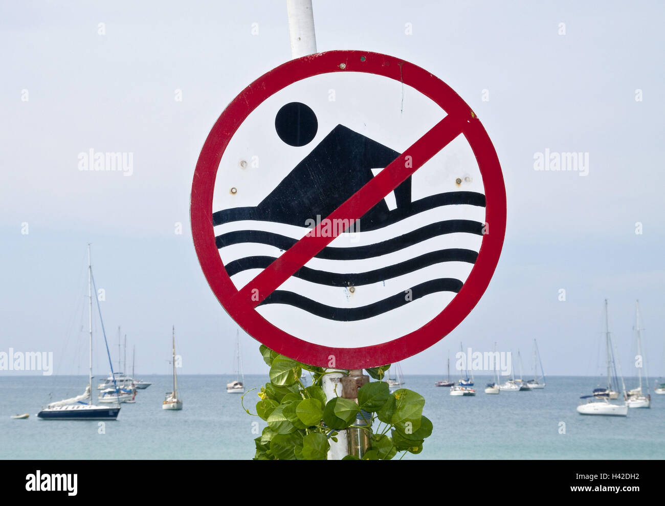 Thailand, island Phuket, Nai Harn Beach, no parking sign, swim forbade, Stock Photo