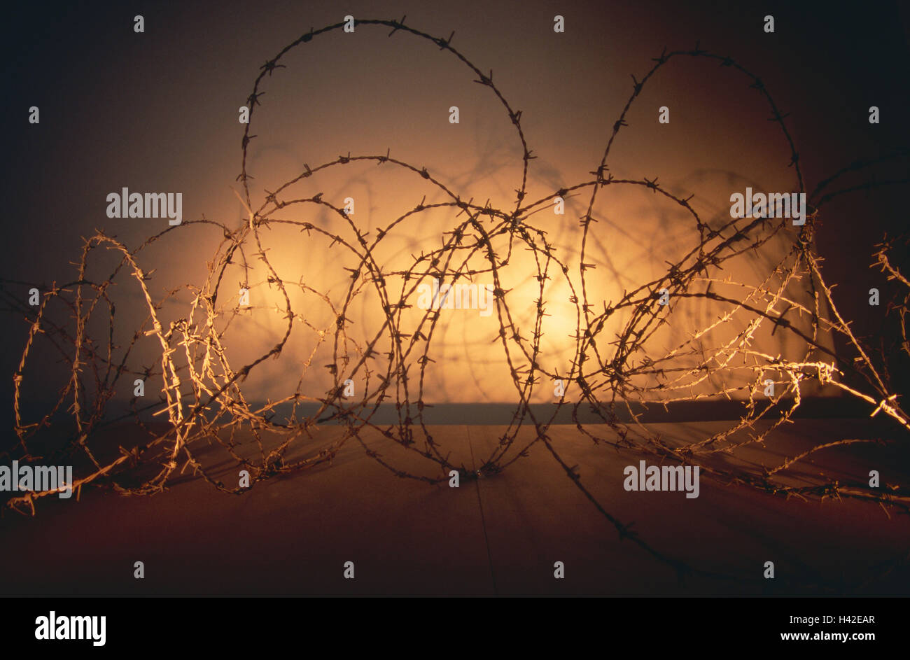 Barbed wire, confuses, light effect    Fence, barbed wire fence, demarcation, Eingrenzung,,  Closing off, protection, security, theft protection, precaution, symbol, concept, break-in, prison, obstacle, property, danger, hazard zone, Concept, chaos, chaos Stock Photo
