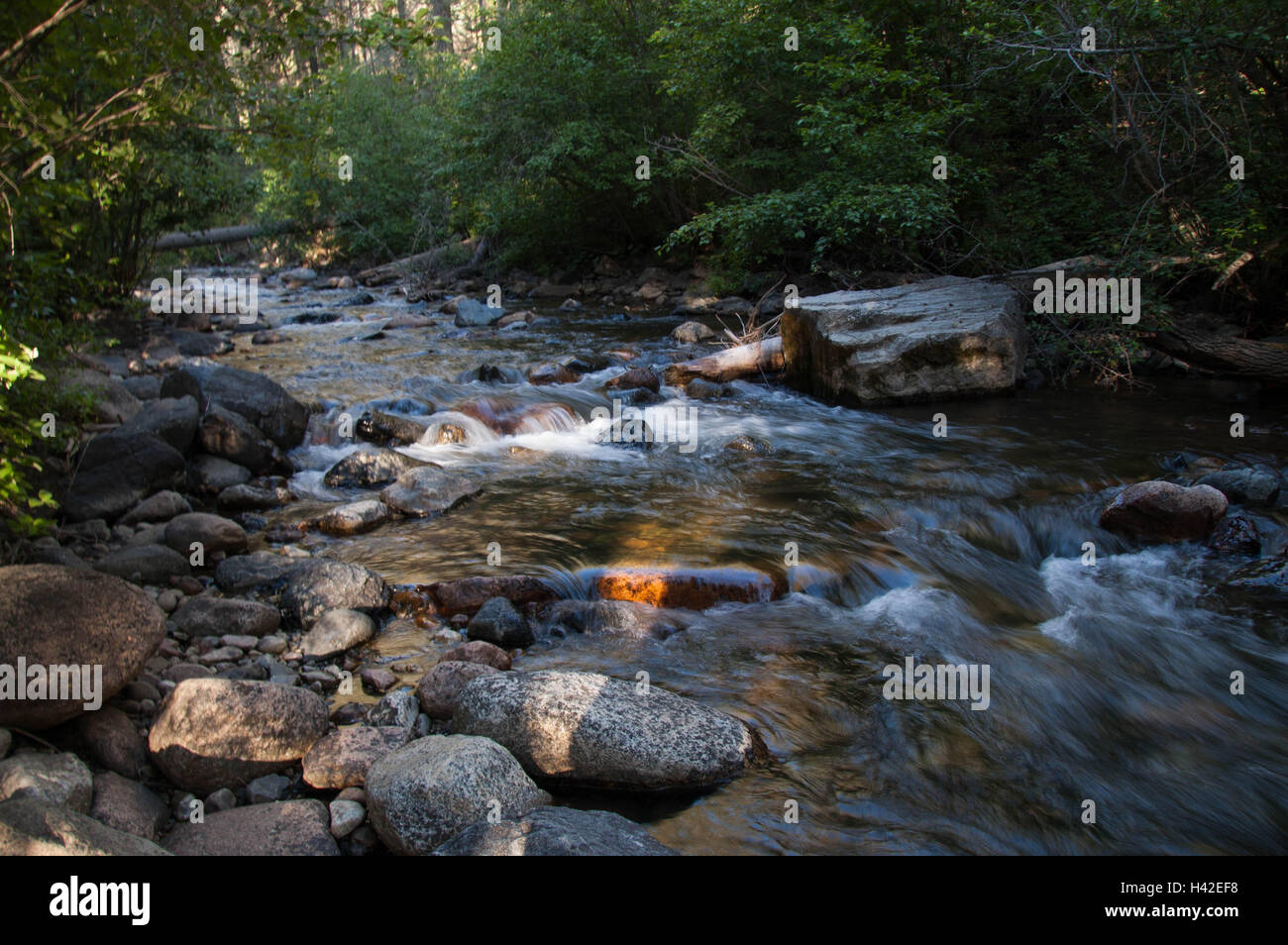 pecos river new mexico Stock Photo Alamy