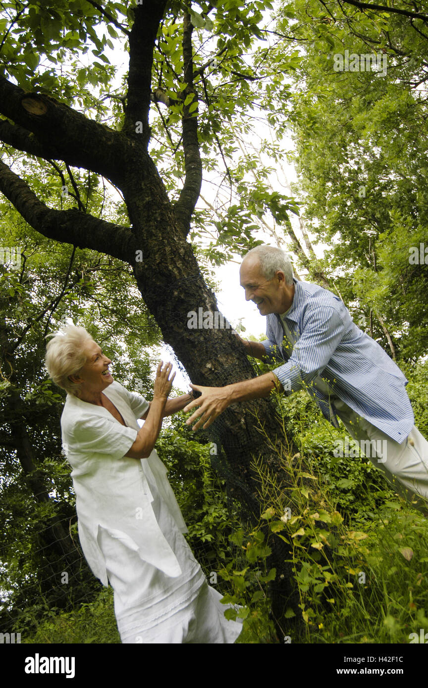 Garden, tree, Senior couple, play to trap summer, leisure time, fun, amusement, joy life, happy, falls in love, love, enterprising, couple, senior citizens, Best Agers, Jung-remaining, laugh, happy, together, lighthearted, carefree nature Stock Photo