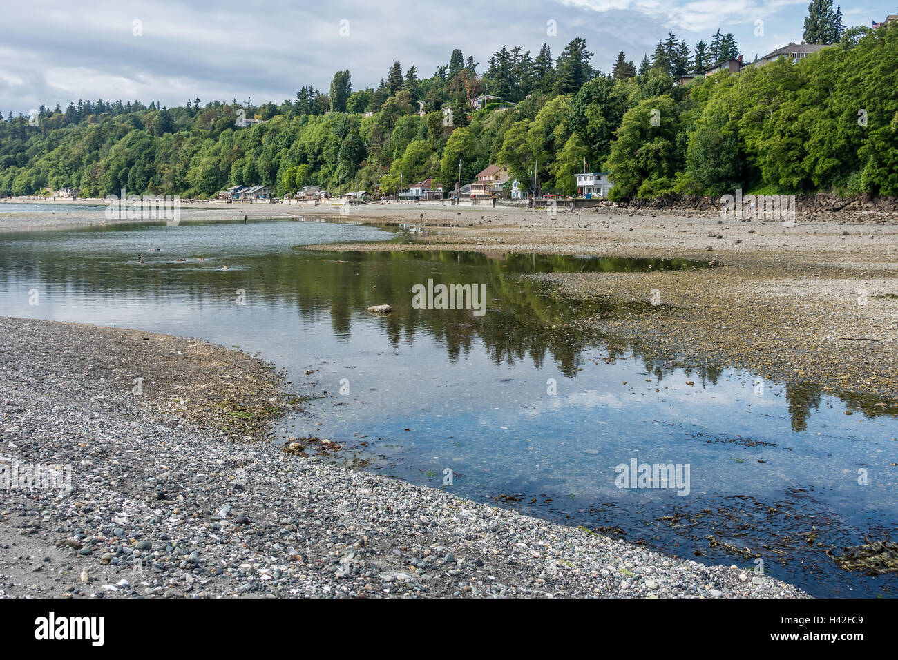 A view of the shoreline at low tide in Des Moines, Washington Stock