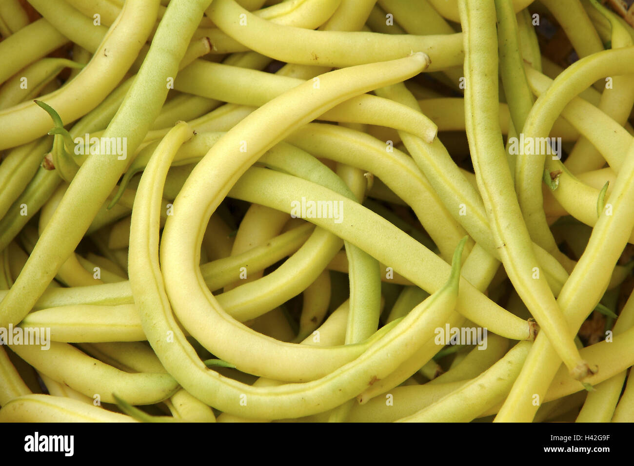 yellow dwarf beans, detail, Kenya beans, beans, vegetables, stick beans