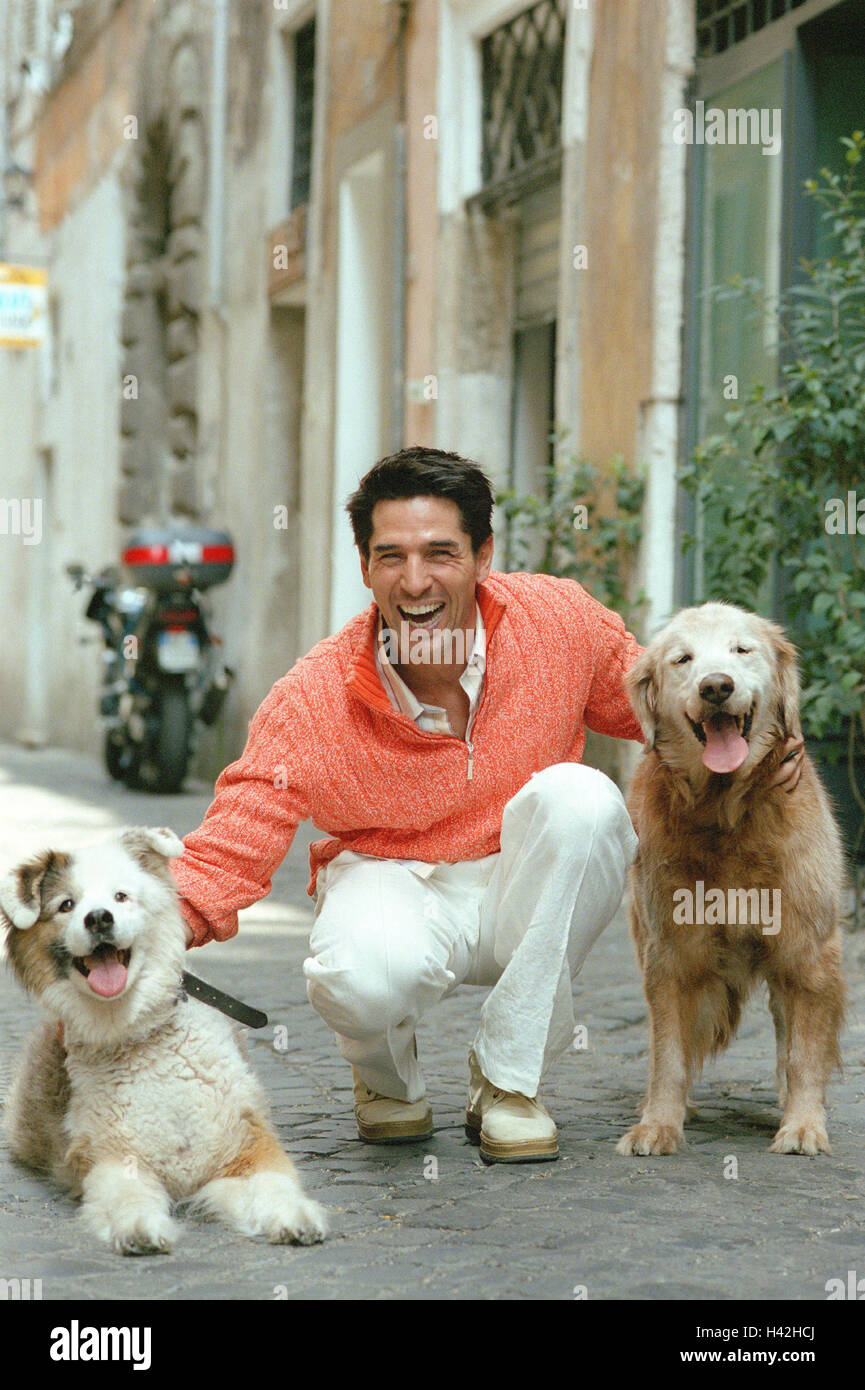 Town, lane, man, dogs, walk, happy, 30-40 years, dark-haired, pullover, sweater, view camera, pets, to pet dog, accompanying dogs, animal-loving, animal-loving, friendship, Gassi go, there laugh, joy, balance, happy, satisfaction, fun, amusements, outside Stock Photo