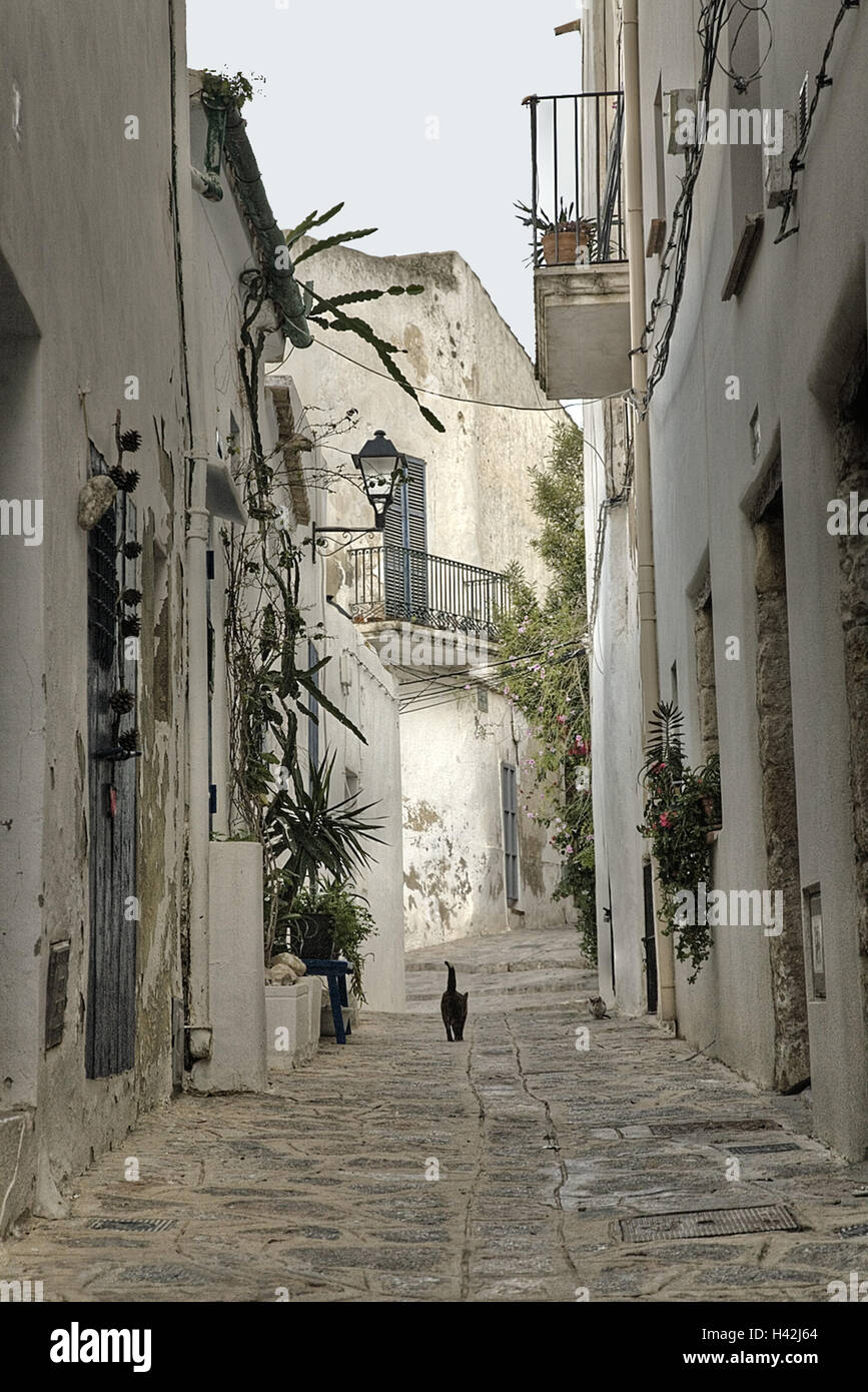 Spain, the Balearic Islands, Ibiza, Dalt Villa, Old Town, lane, cat, Stock Photo