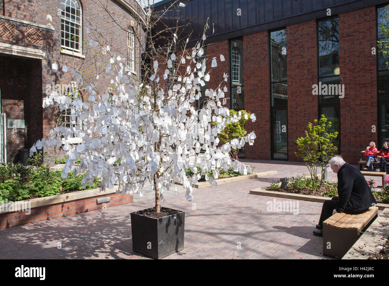 Wishing Tree by Yoko Ono inspired by Japan in Courtyard of The Bluecoat Arts Centre,Hanover Street,Liverpool,Merseyside,England. Stock Photo