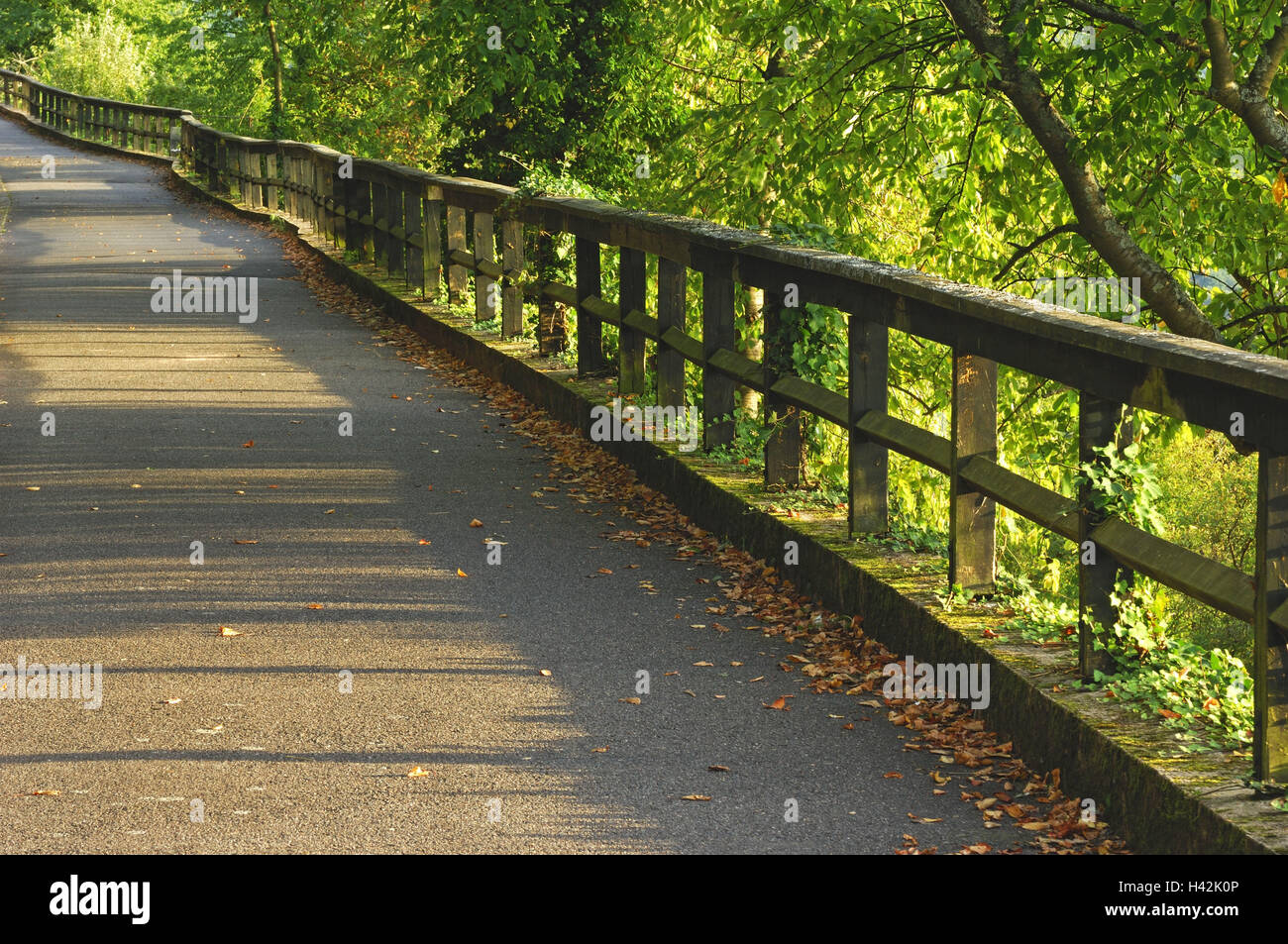 Evening light, way, railing, trees, blade mountain, solar way, the ...