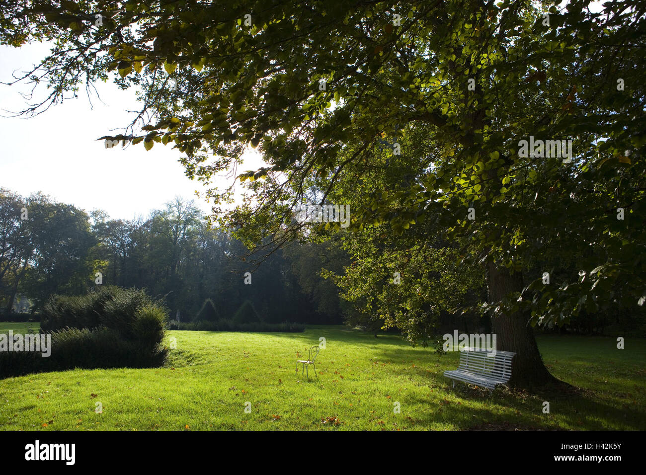 France, Burgundy, Saône-et-Loire, Chateau de Sully, castle grounds, wooden bank, autumn mood, Stock Photo