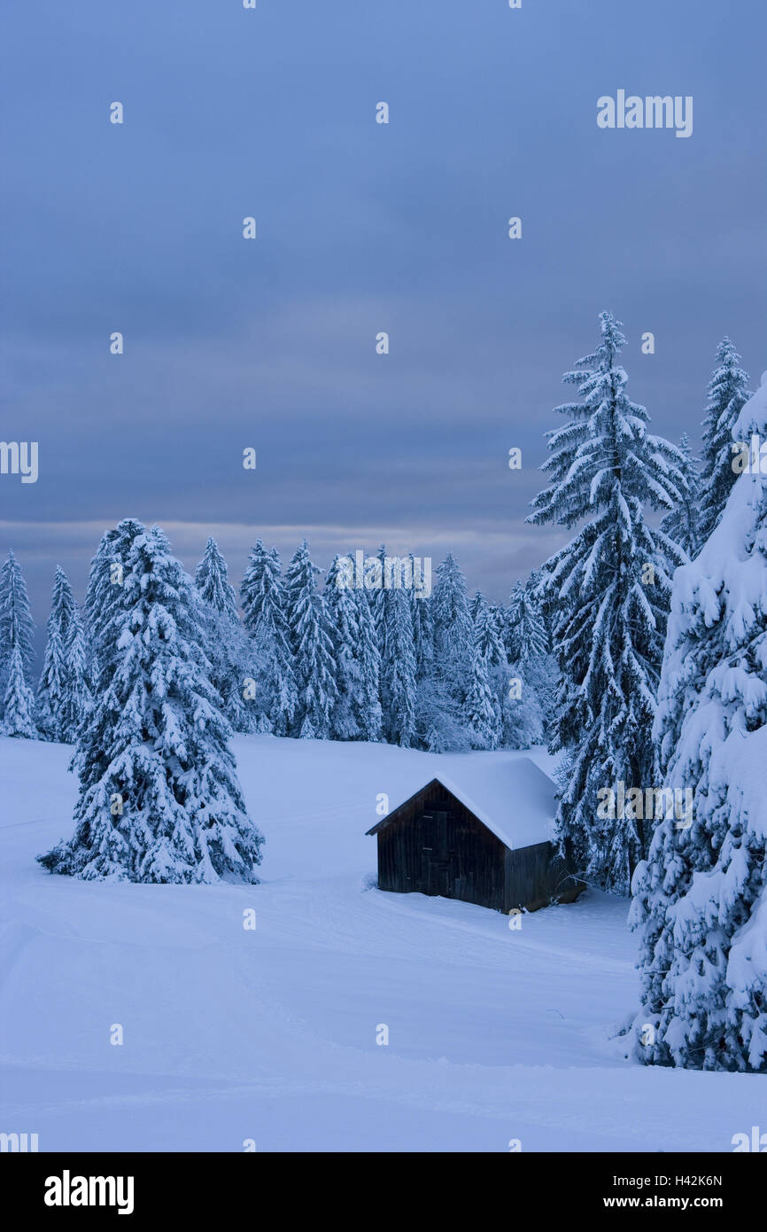 Austria, Vorarlberg, Bregenz, Pfänder, Bregenzer Wald, winter landscape, trees, hut, snow-covered, Stock Photo