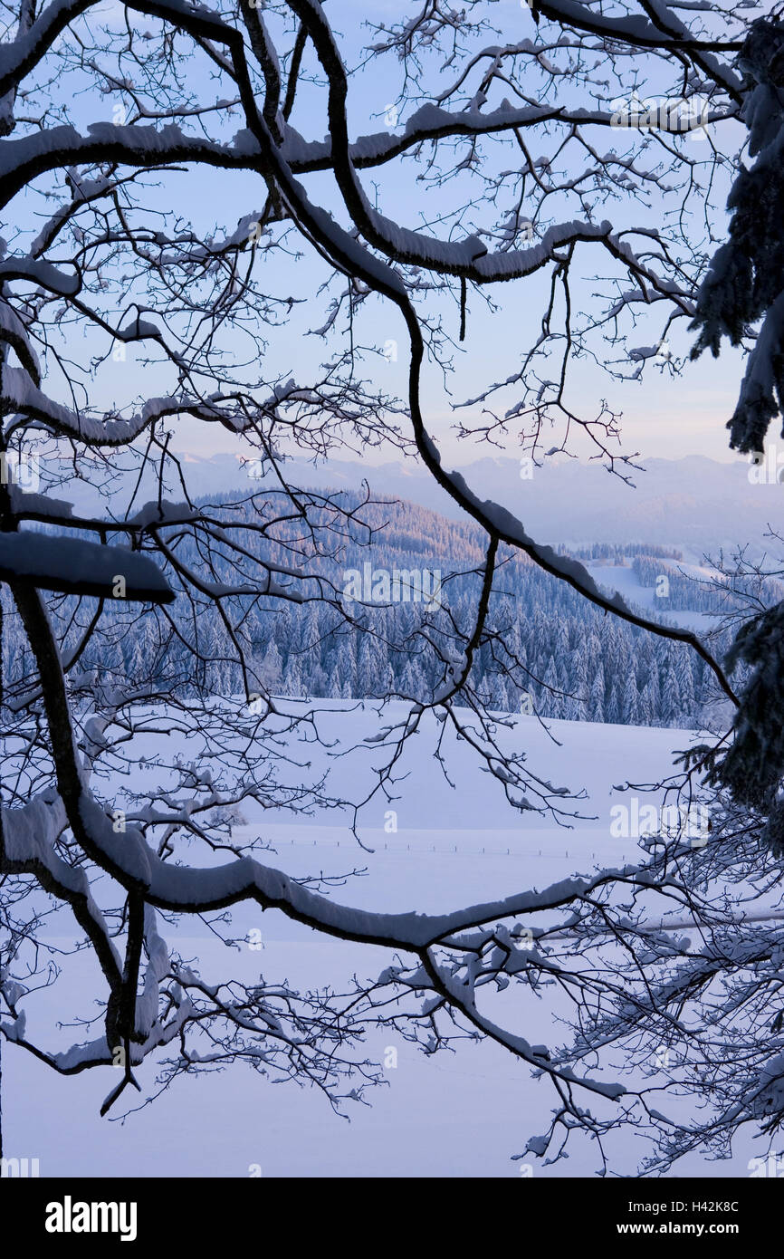 Bregenzer wald hi-res stock photography and images - Alamy