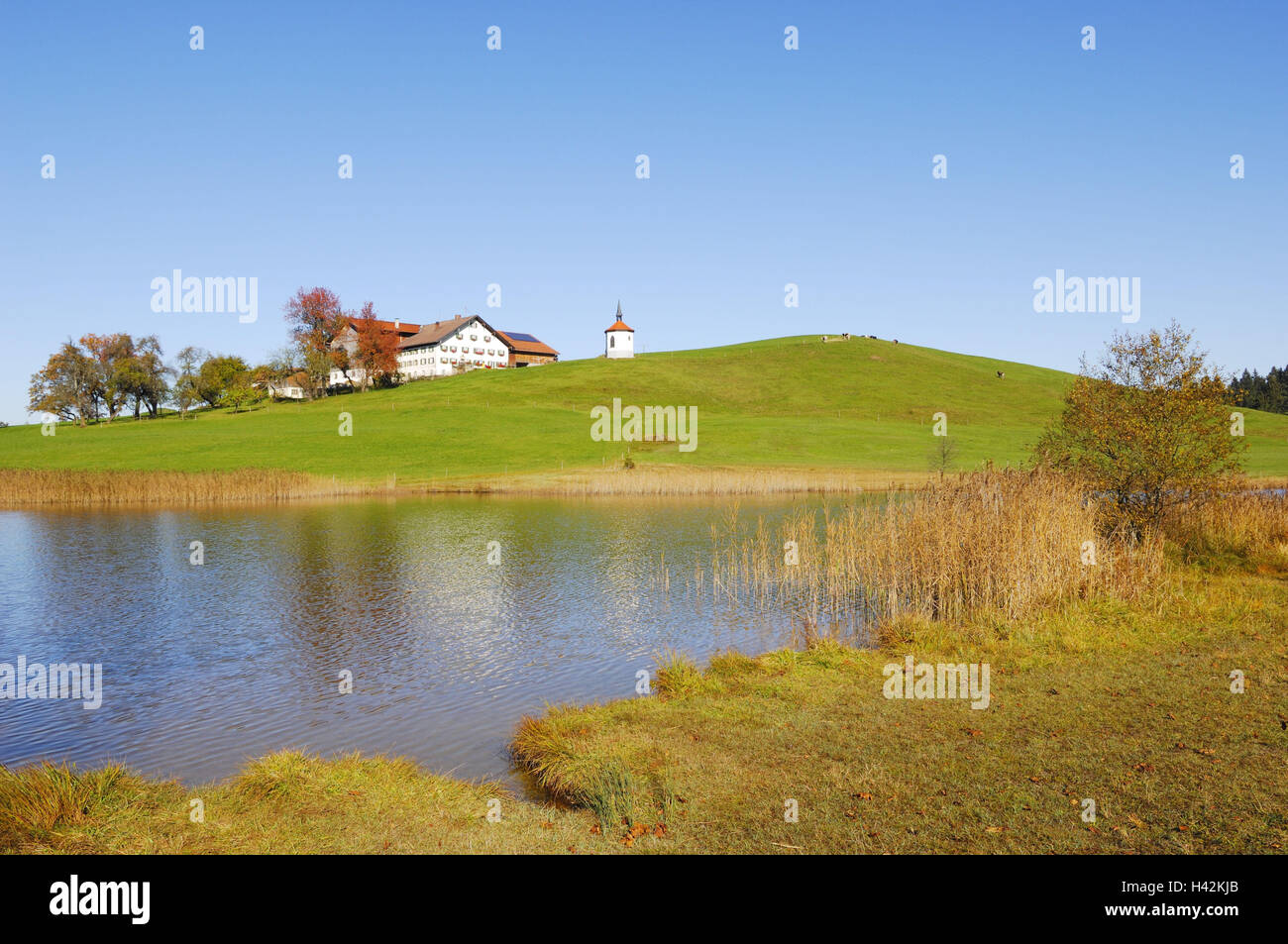 Germany, Bavaria, east Allgäu, hill, farm, lake, Stock Photo