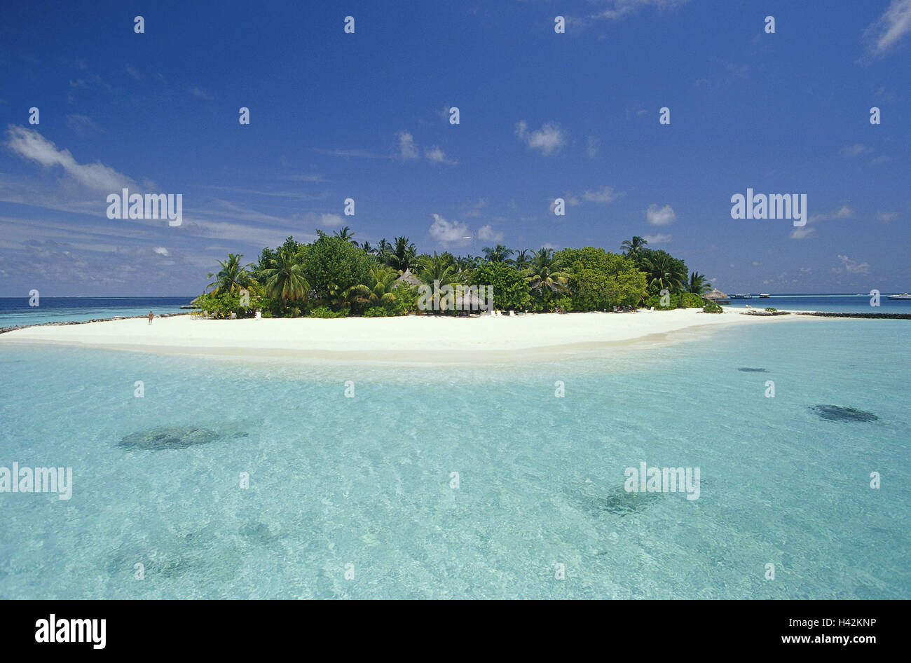 The Maldives, Nakatchafushi, palm island, deserted, sandy beach Stock ...