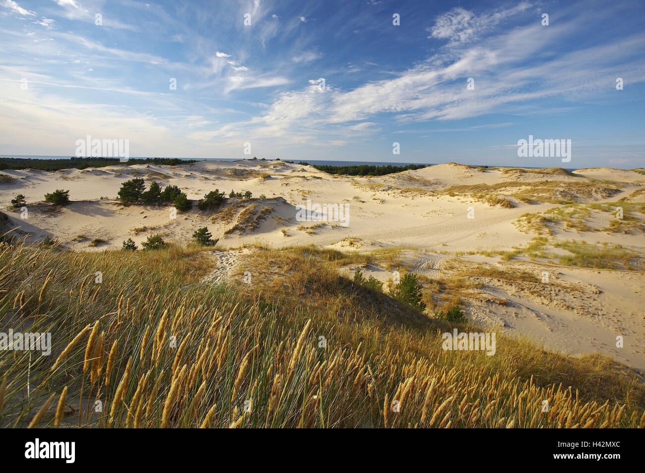 Poland, Pomerania, Slowinski national park, dune scenery, beautyful