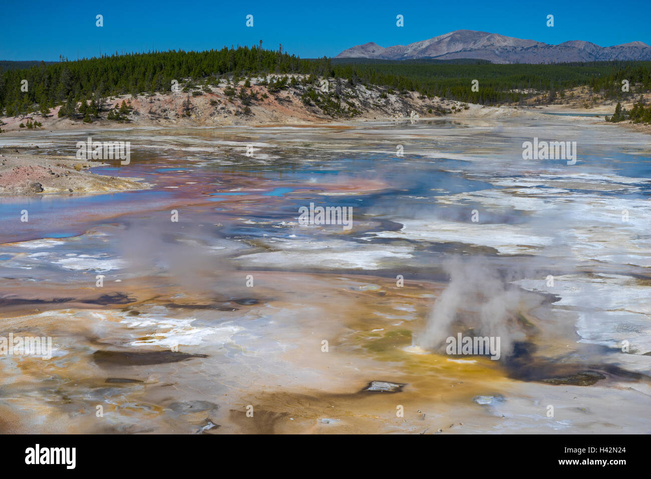 Yellowstone National Park, Wyoming Rising steam from thermals of the