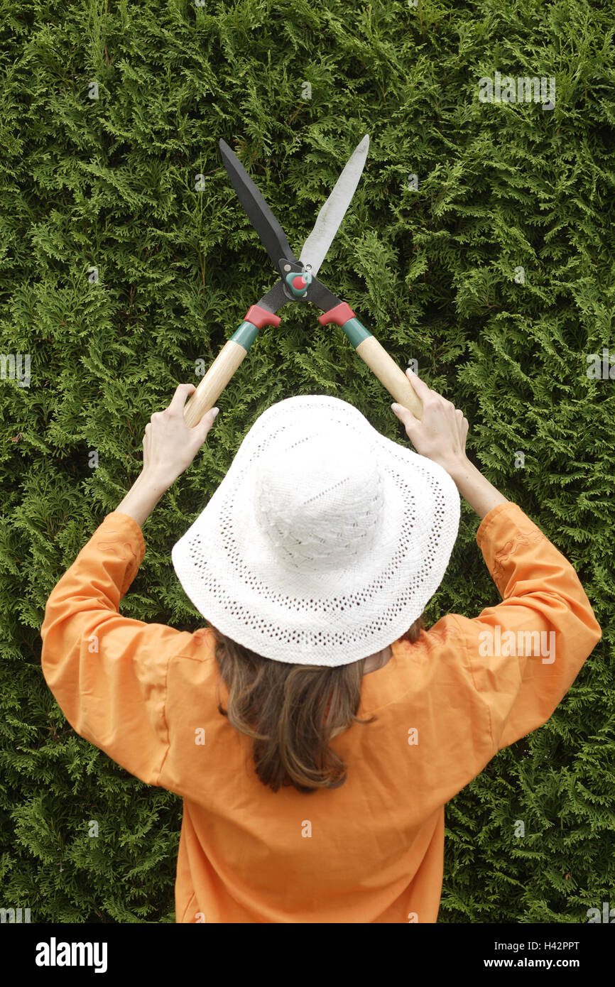 Woman, young, straw hat, hedge, pruning, hedge trimmer, back view Stock ...