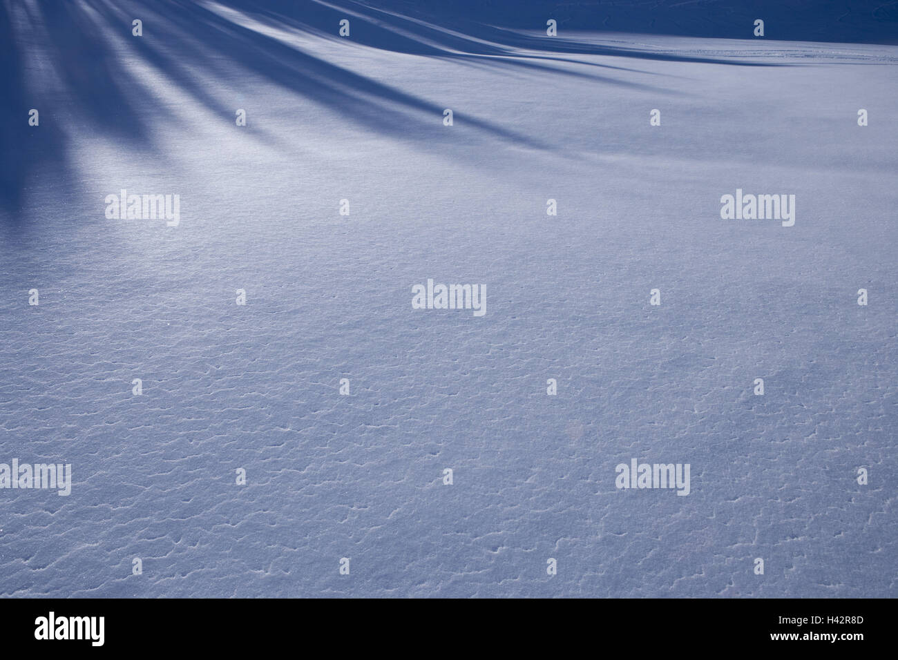 Snow surface, light, shade, winter, Stock Photo