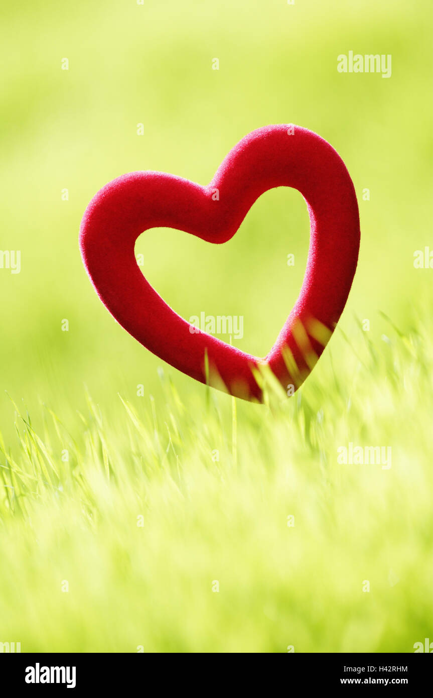 Heart, red, meadow, Stock Photo