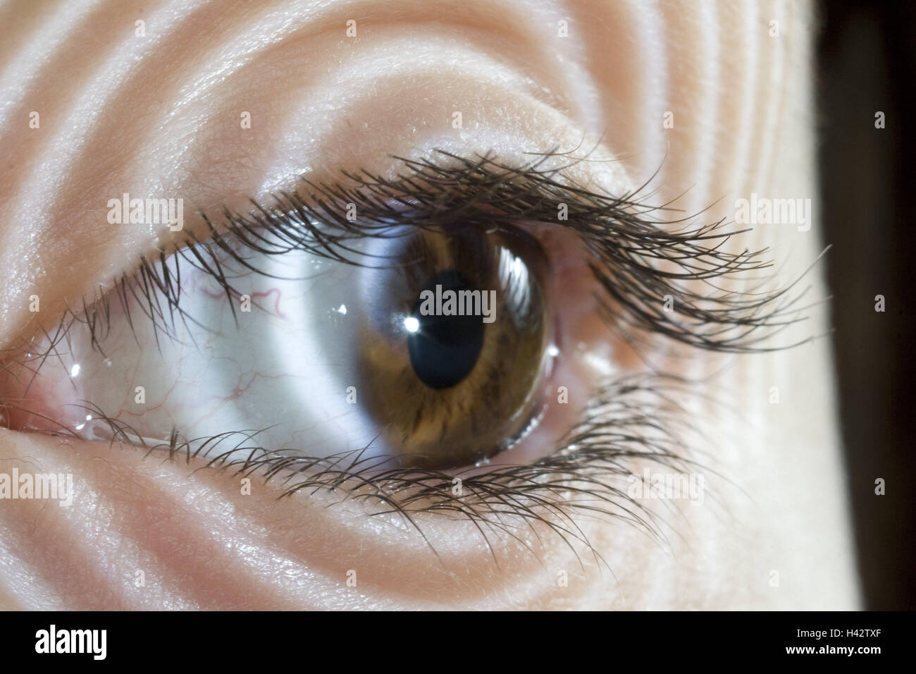 Women's eye, light, shade, circles, Stock Photo