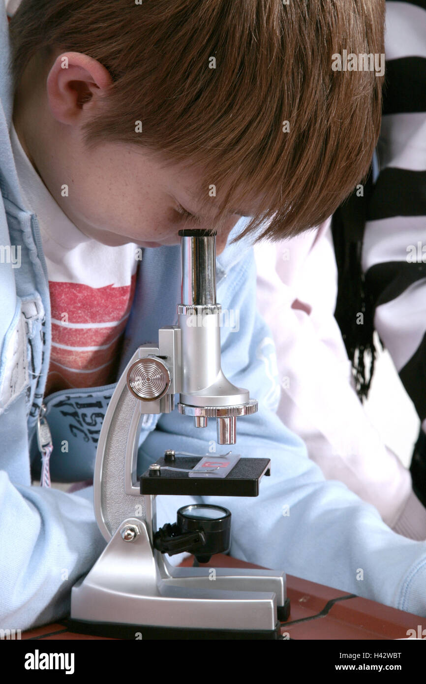 School, lessons, natural sciences, biology, schoolboy, microscope Stock Photo Alamy