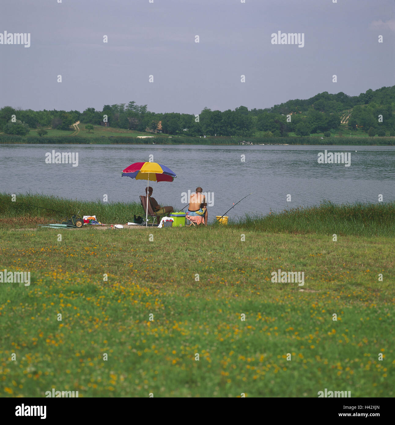 Hungary, Balaton, Tihany, lakeside, angler, back view, Central, Europe, disk lake, popular place for outings, lake, shore, angler, fish, leisure time, leisure activity, view, outside, summer Stock Photo