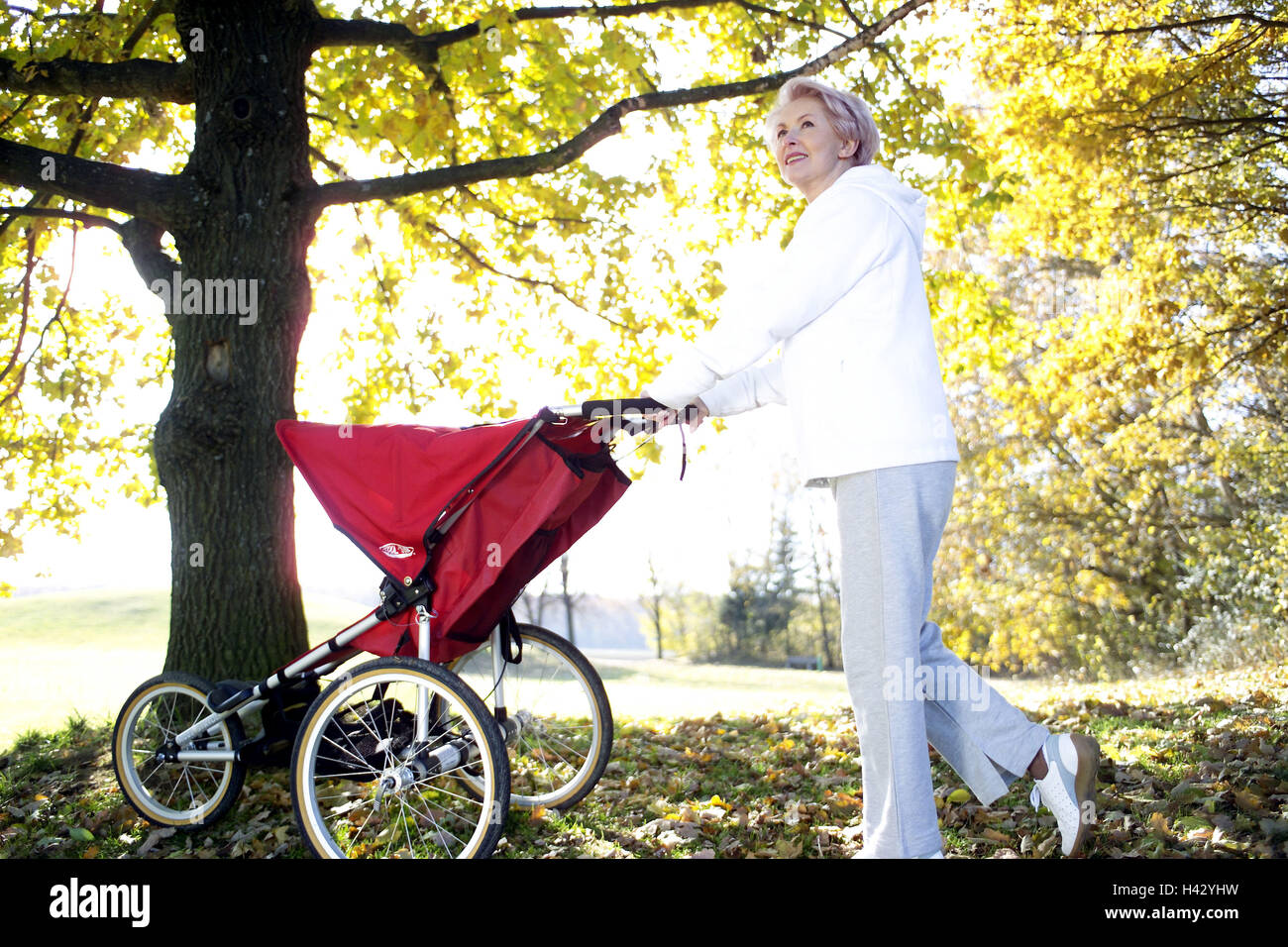 Park, senior, baby jogger, side view, autumn park, woman, 55-65 years, Best Agers, Jung-remaining, granny, baby carriage, walk, park walk, health, fitness, activity, activity, leisure time equaliser, lifestyle, autumnally, season, 50-60 years, 60-70 years, 50-60 years, 60-70 years Stock Photo