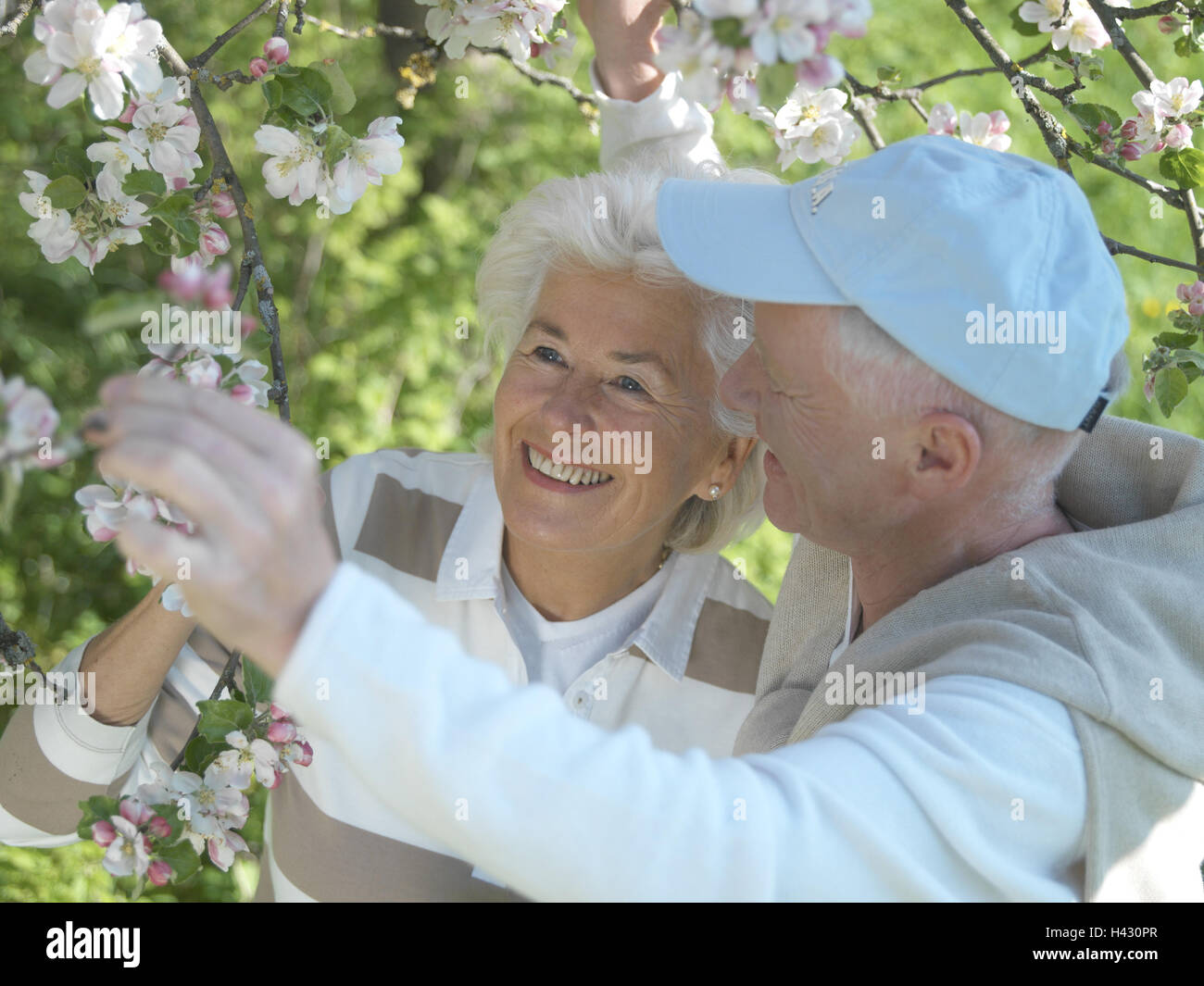 Garden, senior citizen's couple, happily, portrait, look, blossoms, apple-tree, spring, vacation, summer vacation, retirement, pension, leisure time, walk, détente, rest, enjoy, nature, together, together, Best of all Age, old person, senior citizens, couple, happily, contently, young remaining, fit, agile, actively, view, tree, fruit-tree, blossoms, blossom, odour, smell, joy, symbolically, renewal, spring feelings, vitality, life energy, future, life, partnership, love, affection, common characteristic, togetherness, cohesion, liveliness, enthusiasm, tuning positively, attitude to life, joy Stock Photo