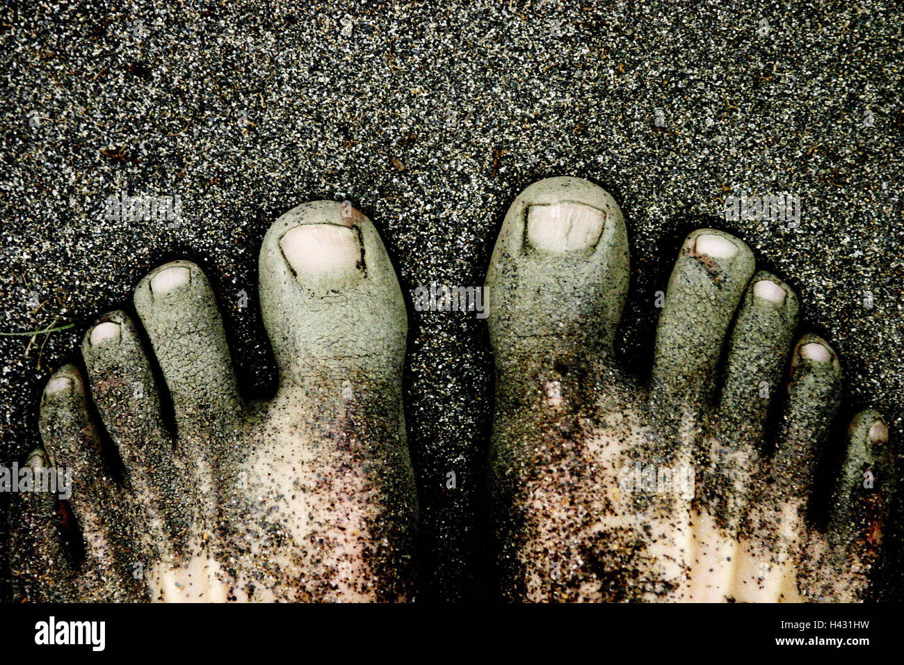Beach, men's feet, wet, sandy, detail   Man, 20-30 years, feet, body parts, limbs, toes, barefoot, dirty, peters out, feeling, enjoys, vacation, vacation, beach vacation, sand, black, symbol, freedom feeling, feels, senses, independence, independence, nat Stock Photo