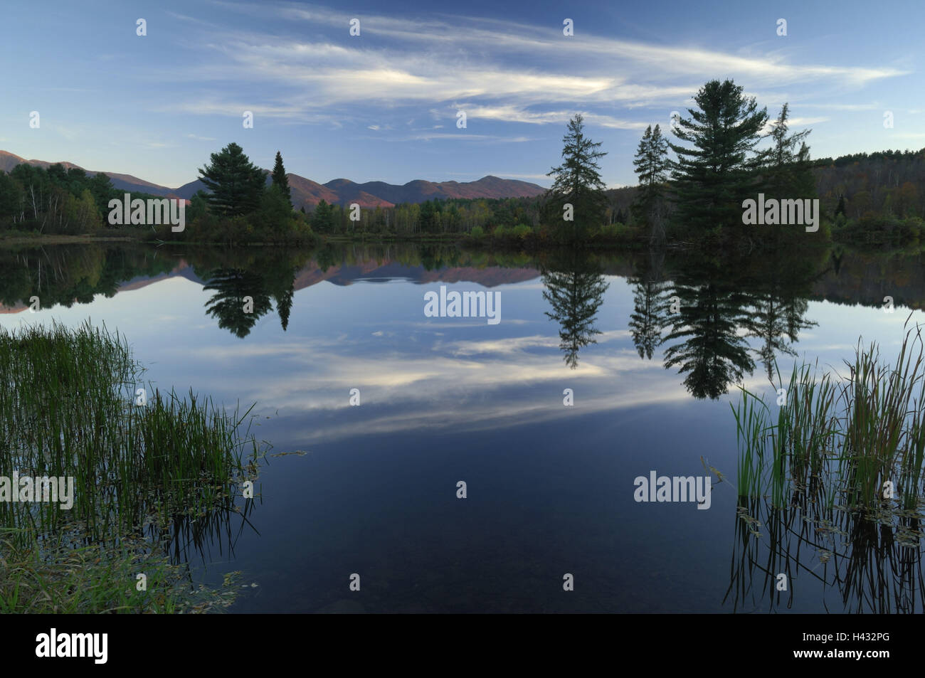 New england usa forest hi-res stock photography and images - Alamy