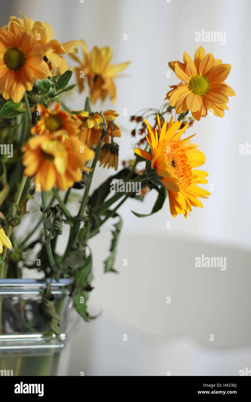 Flower vase, oxeye daisys, yellow, detail, vase, flowers, flower heads, blossoms, blossom, wilt withered, icon, present, Mother's Day, Valentin, Excuse me, joy, birthday, product photography, Stock Photo