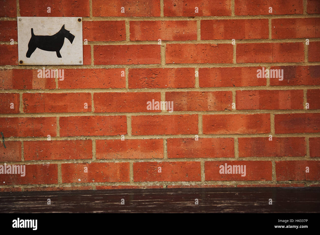Wall, red, sign, pictogram, dog, Stock Photo