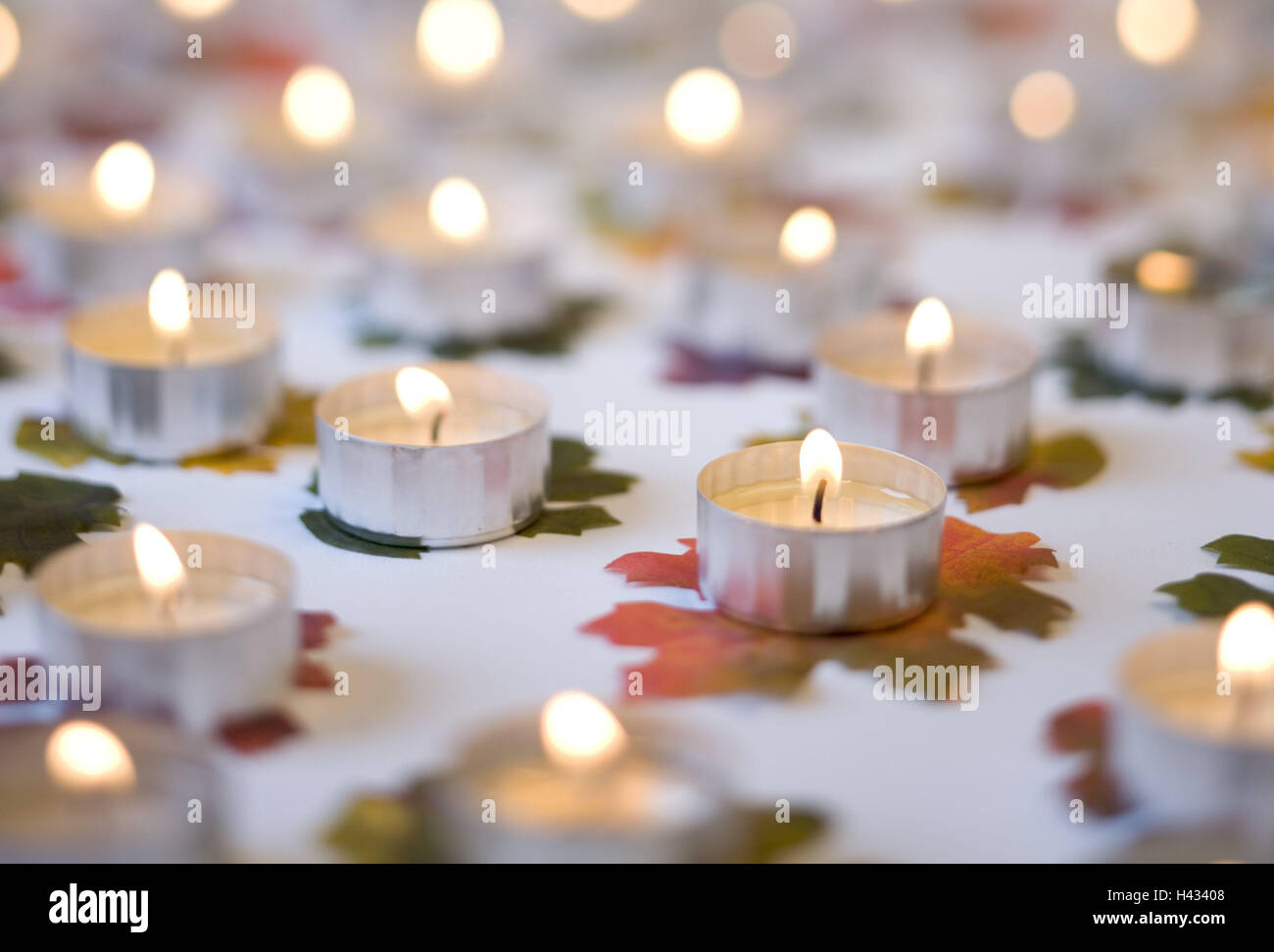 Tea lights, burn, autumn leaves, decoration, product photographys