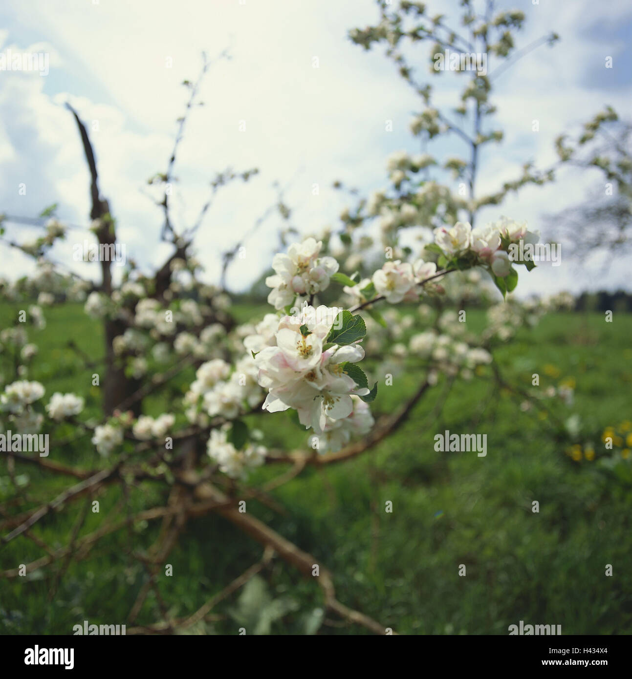 My Image 15