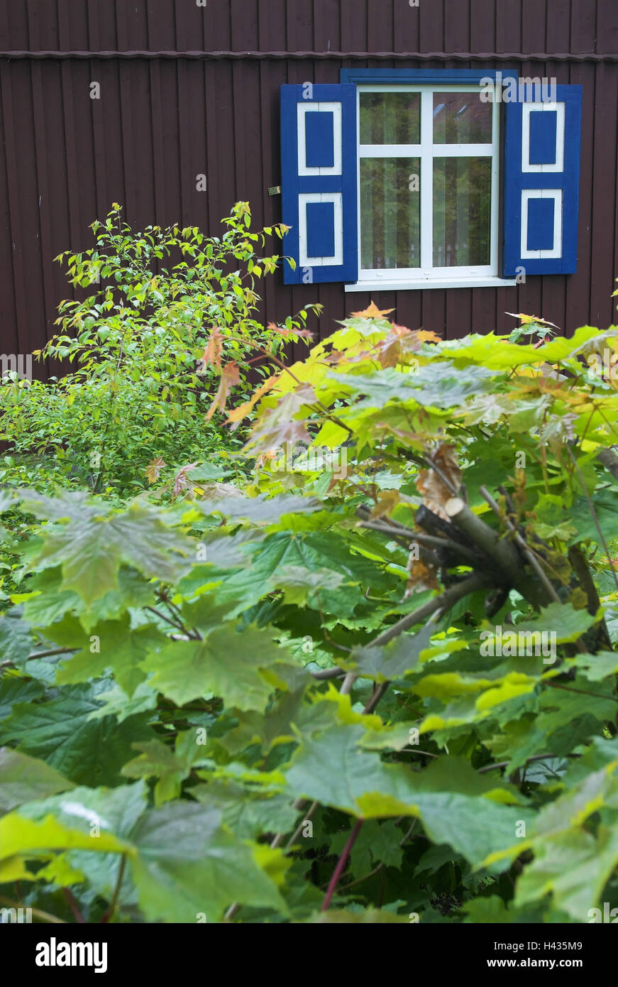 Fisherman's cottage, garden, Nida, Curonian Spit National Park, Lithuania, Stock Photo