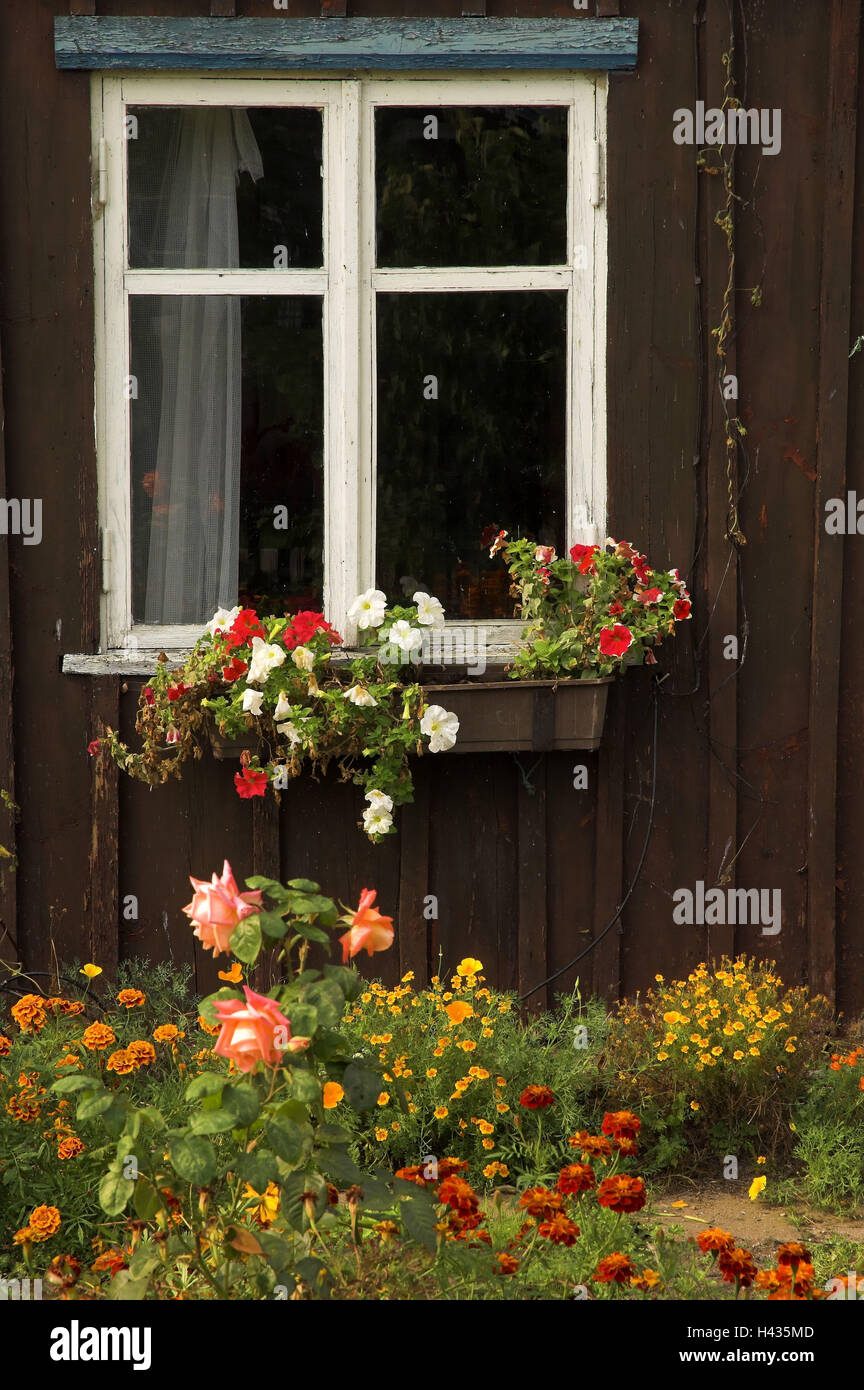 Fisherman's cottage, garden, flowers, Nida, Curonian Spit National Park, Lithuania, Stock Photo