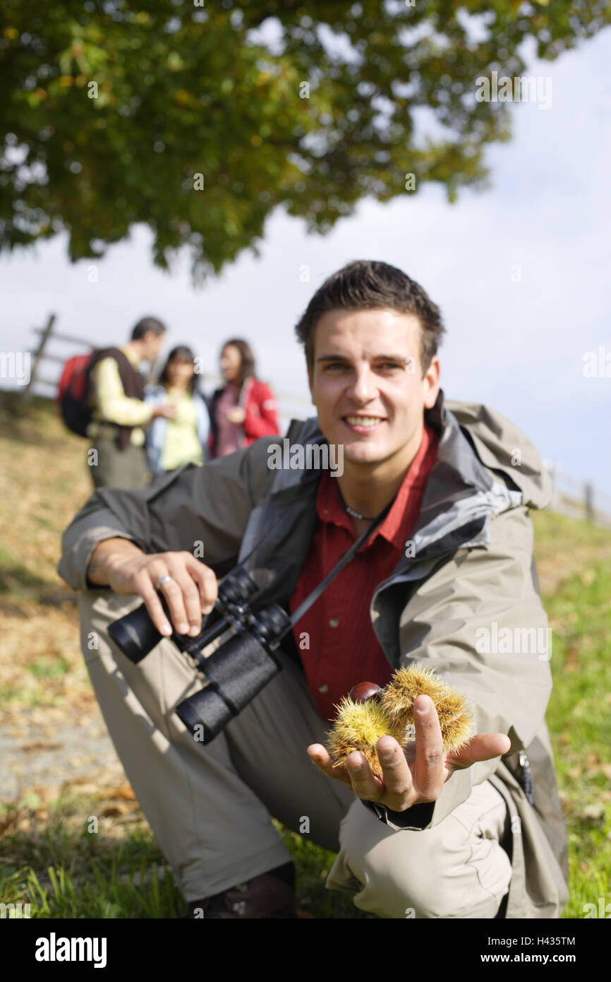 Man, squat, eating chestnuts, hold, collect, Italy, South Tyrol, chestnut way, Eisacktal, Stock Photo