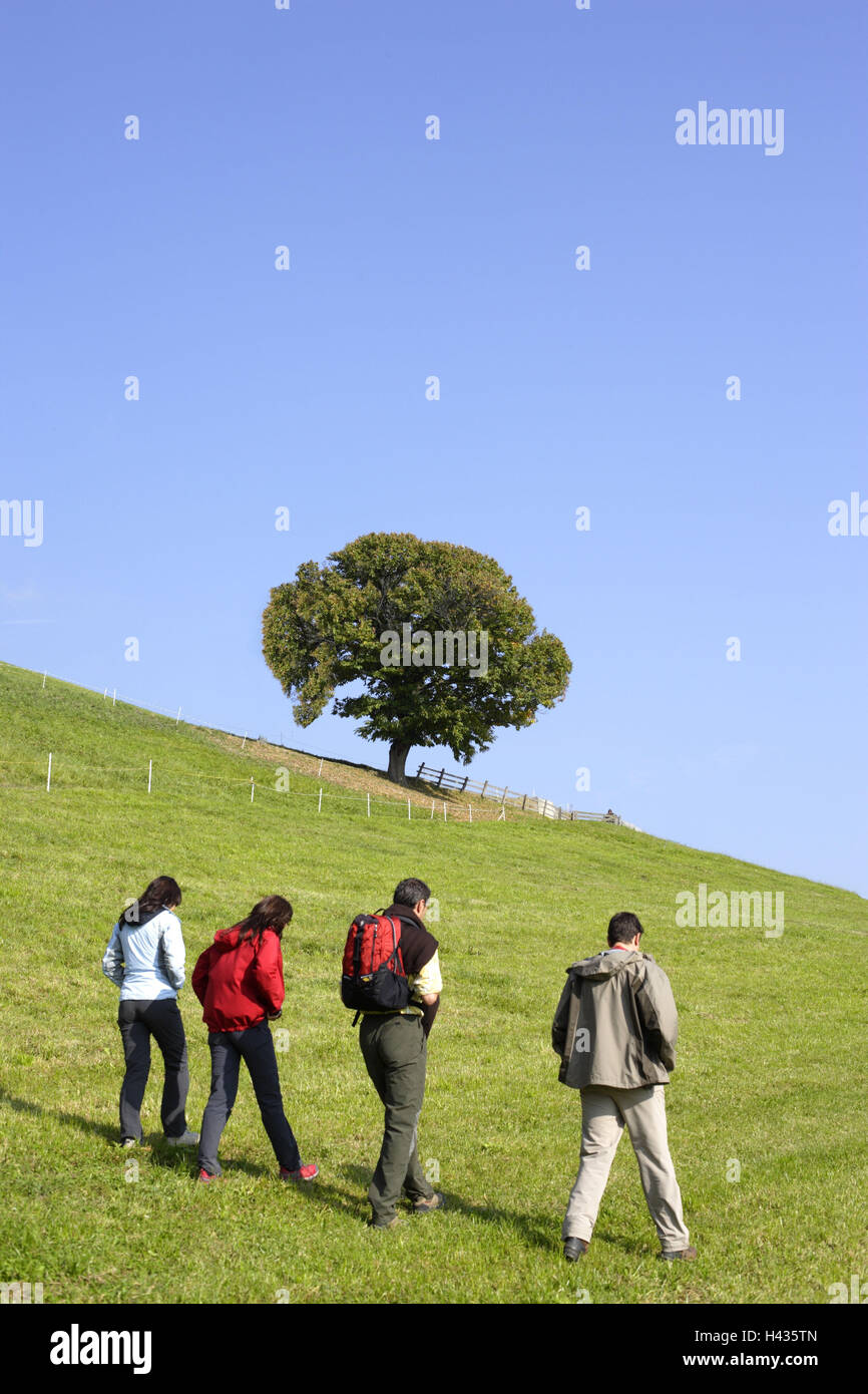 Men, women, walking, chestnut way, Villanders, Eisacktal, South Tyrol, Italy, Stock Photo