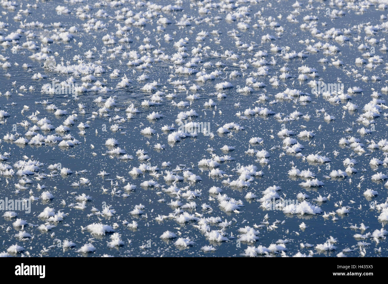 Waters, sheet of ice, icecrystals, detail, ice, lake, river, water