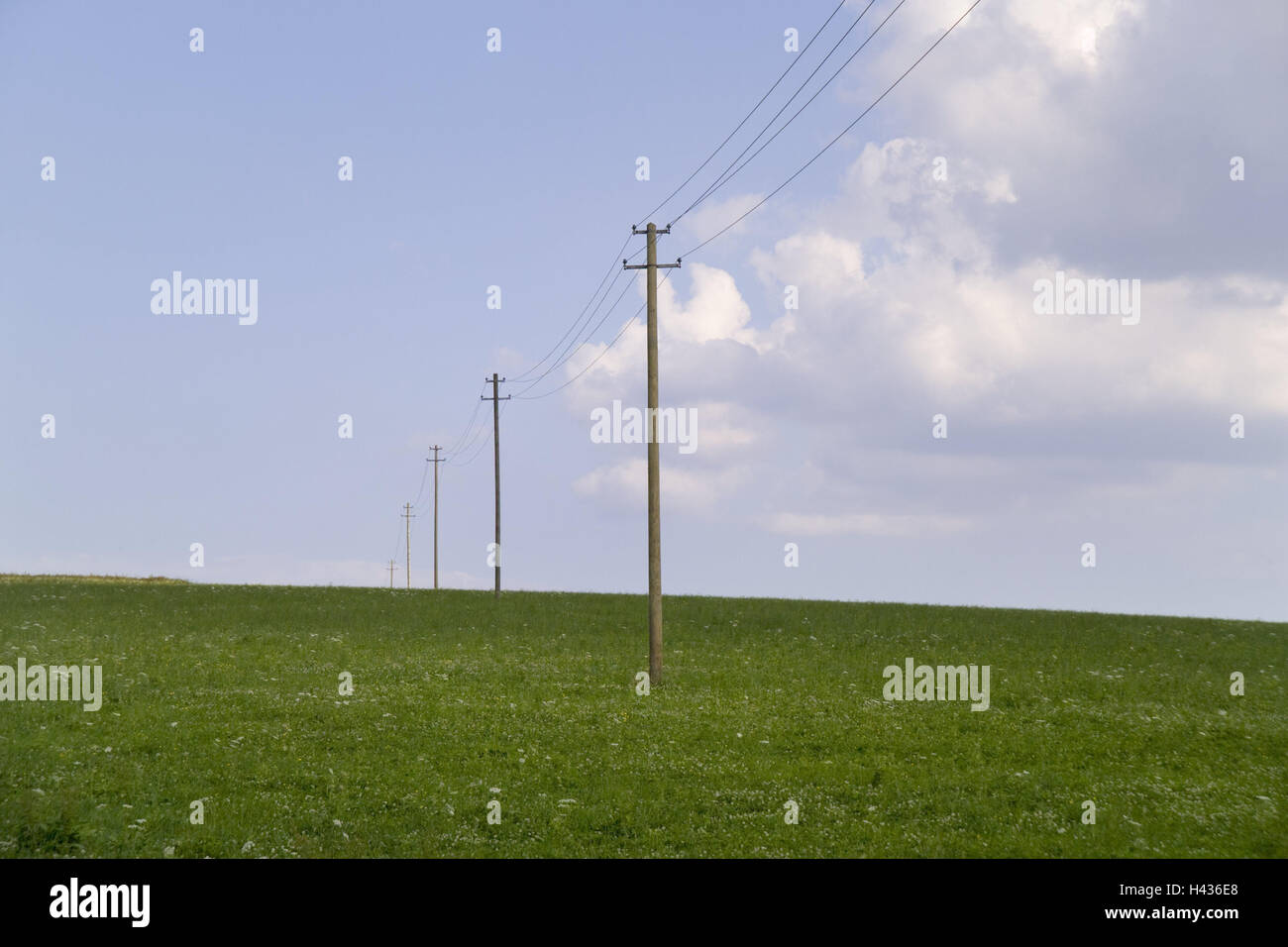 Power supply line, masts, meadow, scenery, electricity network, current