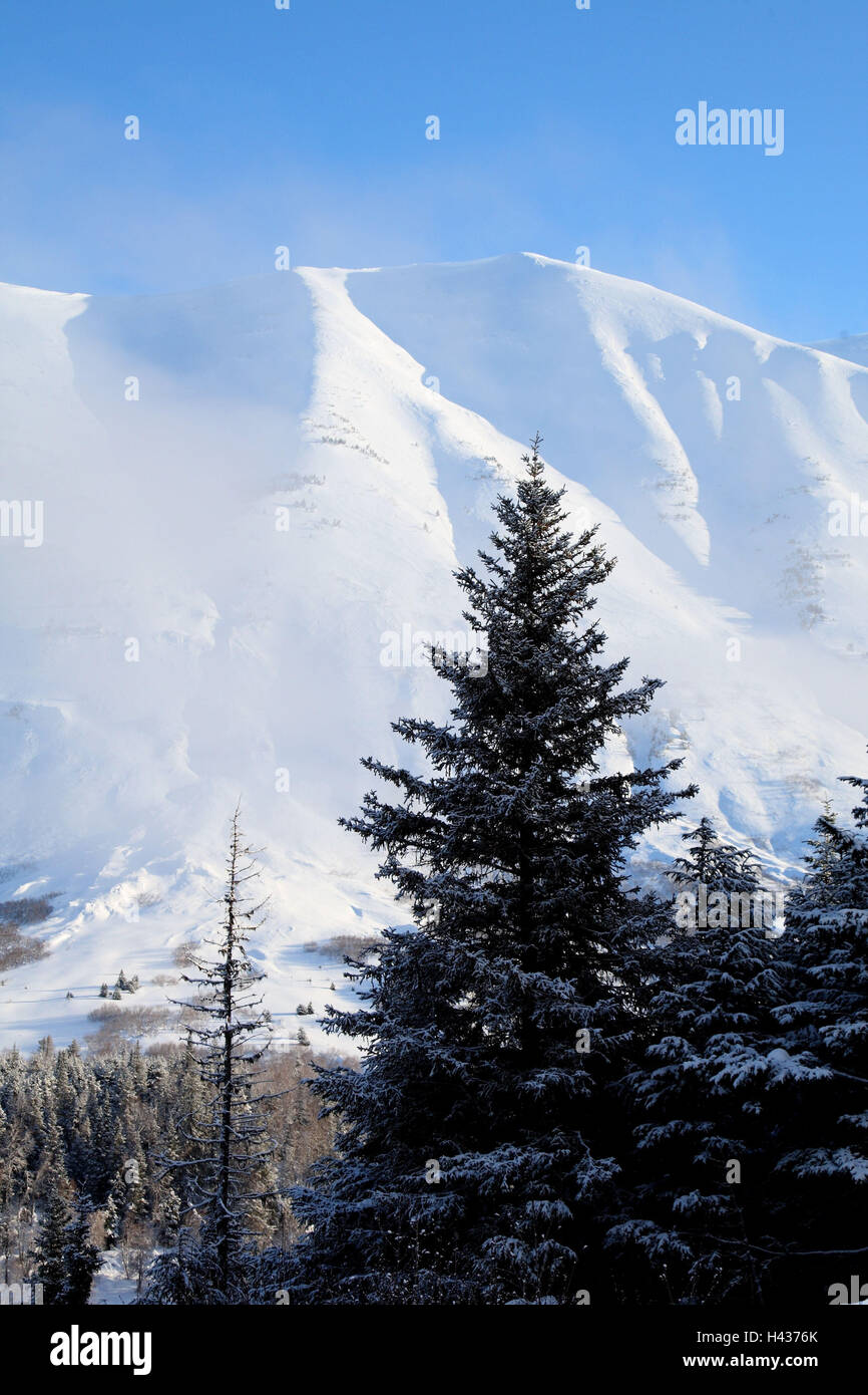 Winter, Alaska, close Anchorage Stock Photo