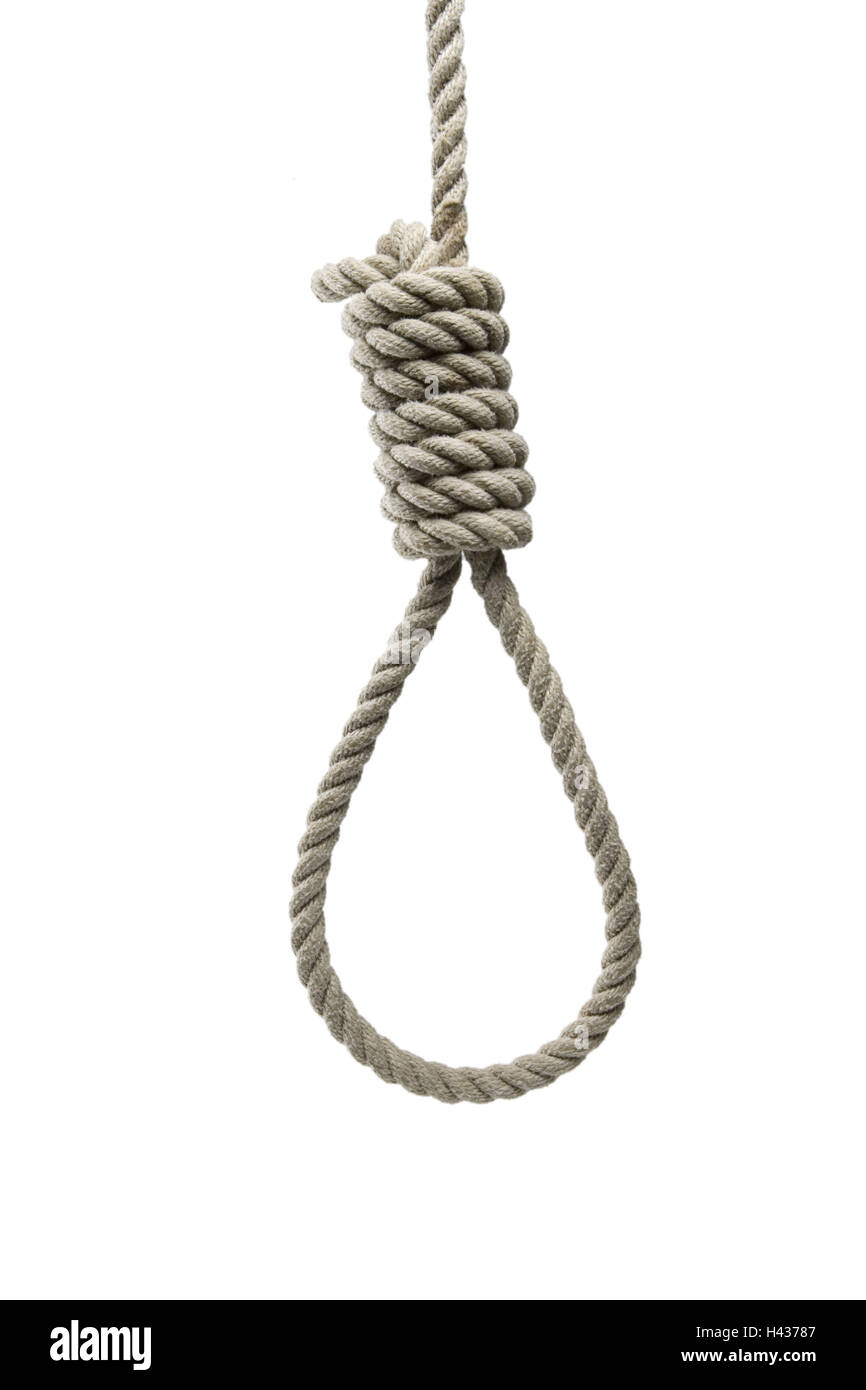 Rope, hangman's knot, cutout Stock Photo Alamy